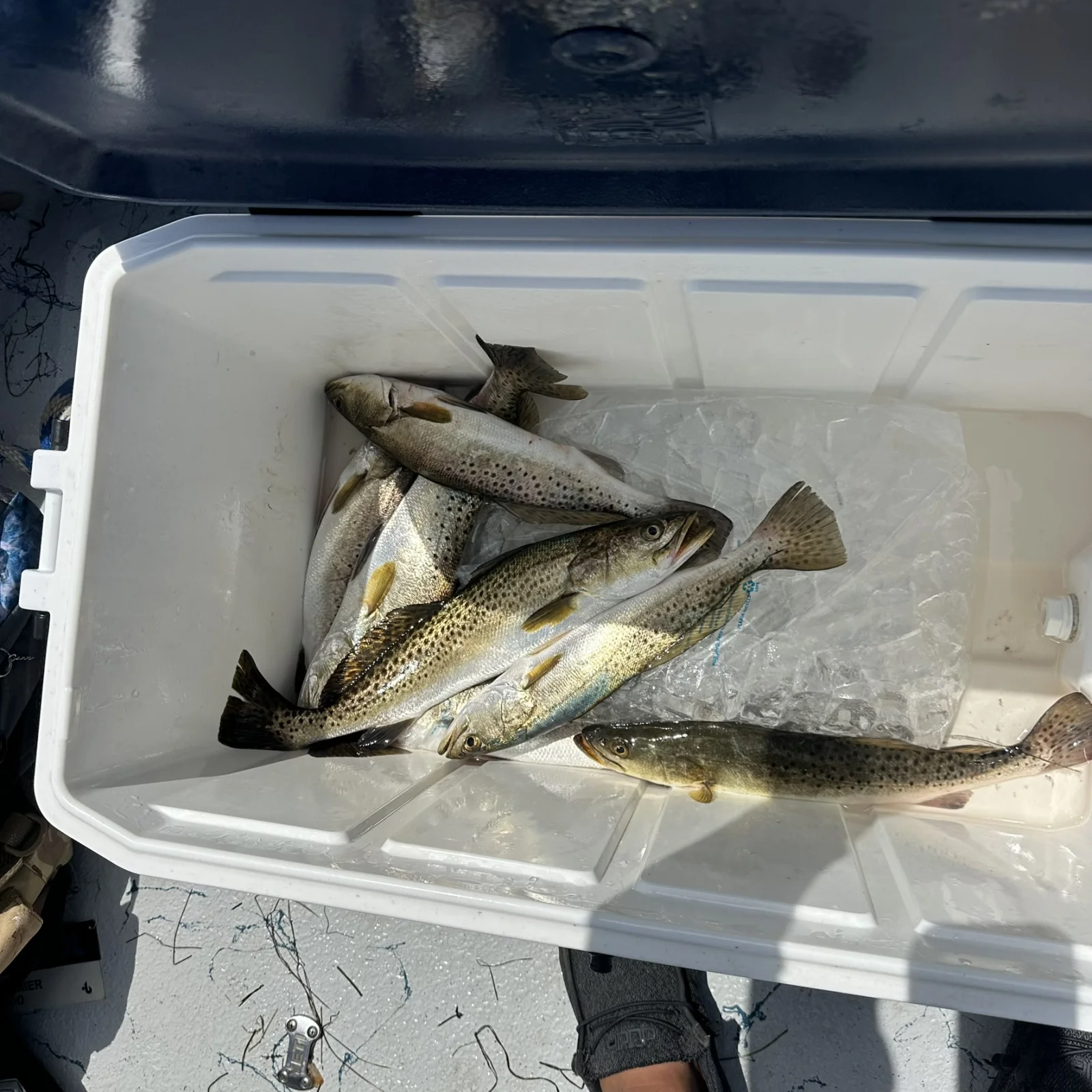 Hook, Line & Memories Fishing Trip