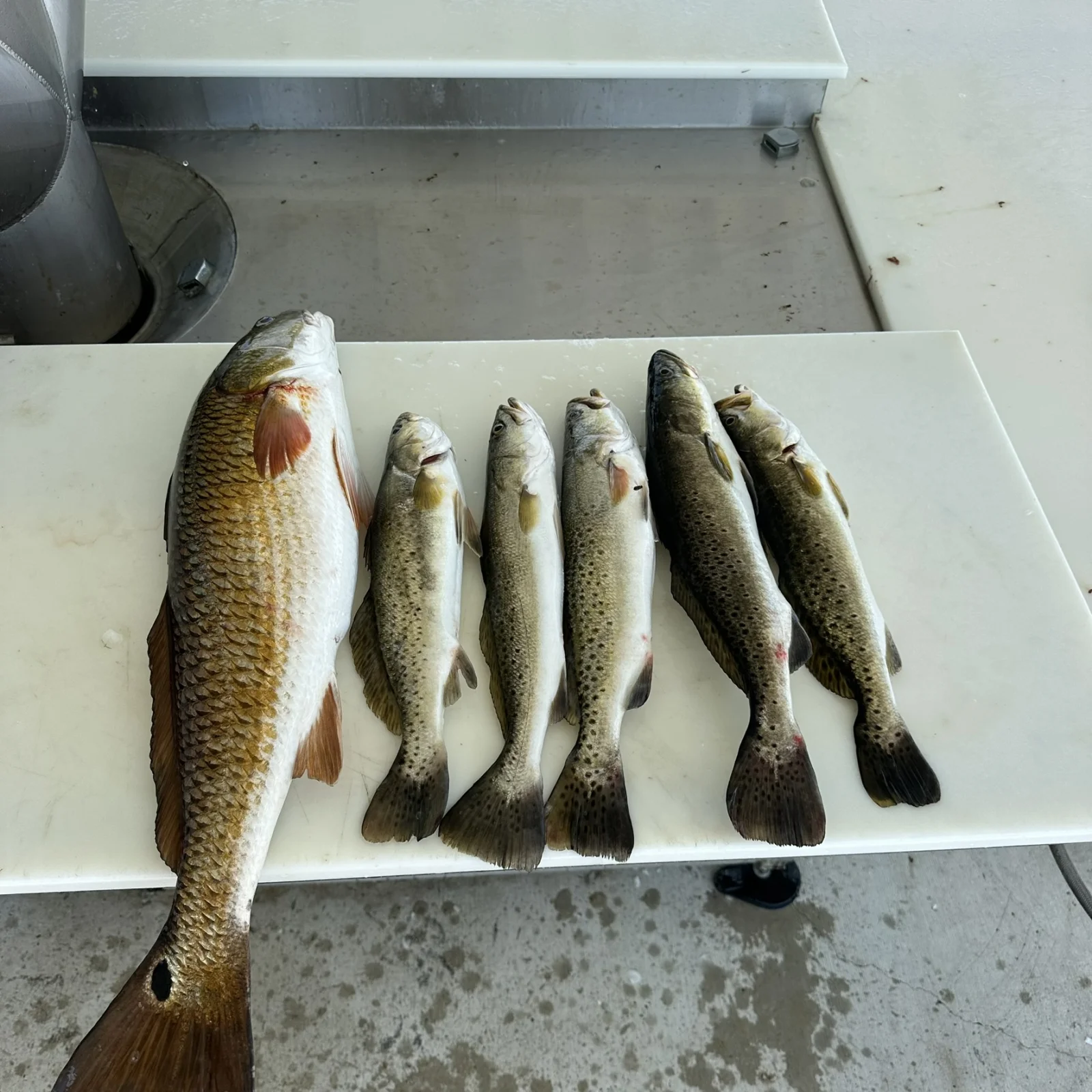 Hook, Line & Memories Fishing Trip