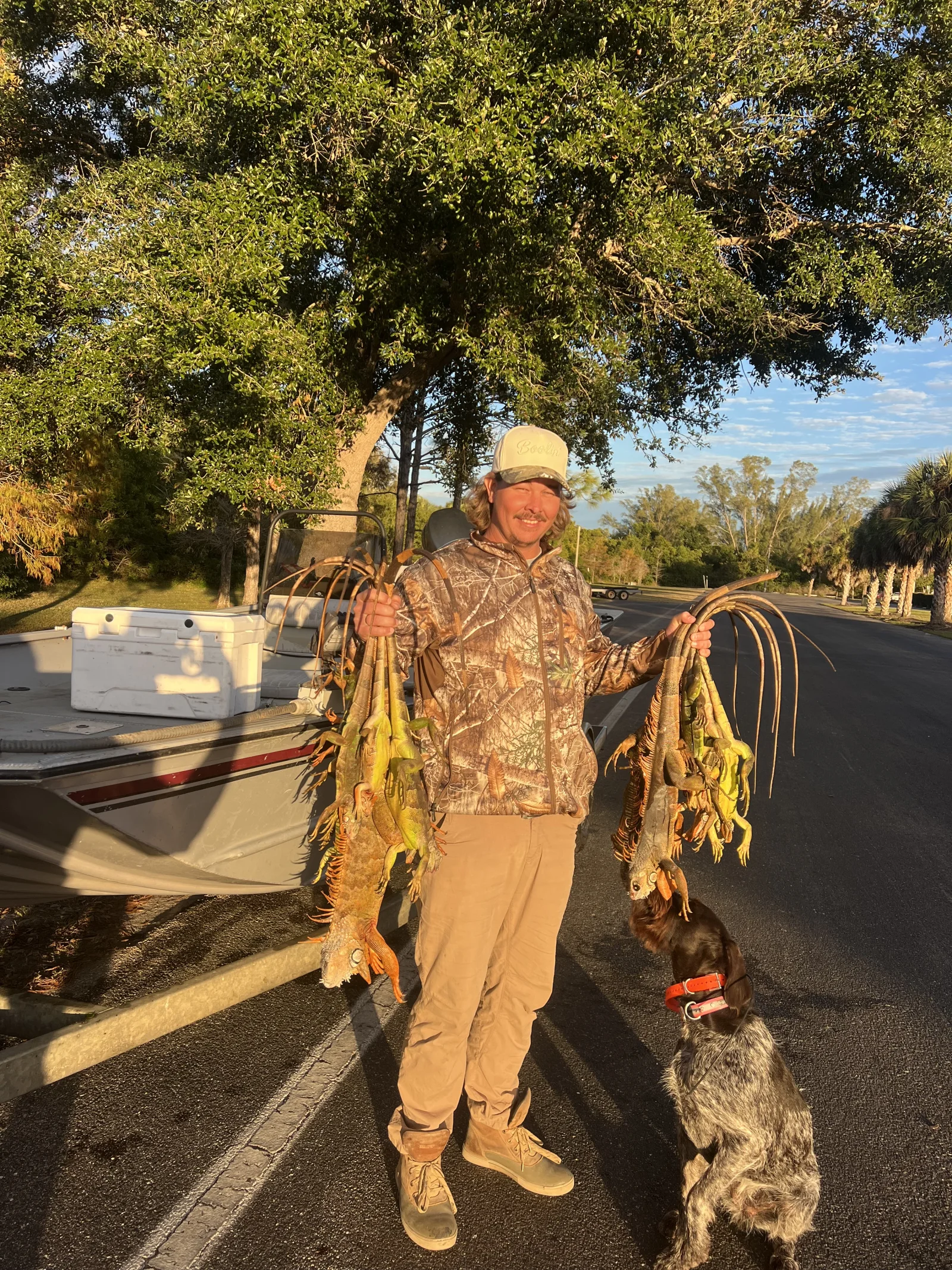 Cape Coral Iguana Hunt