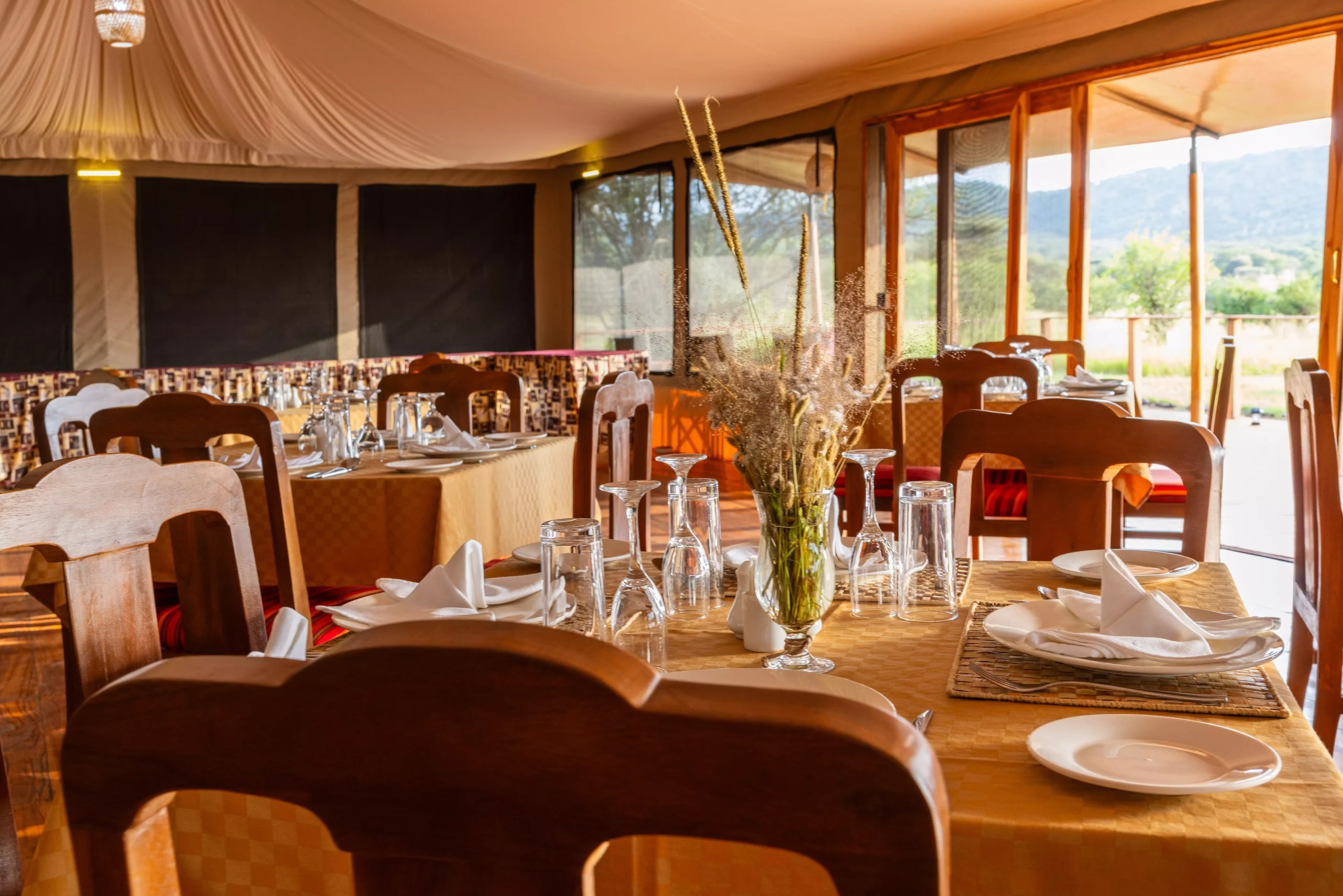 Serengeti Birding Experience