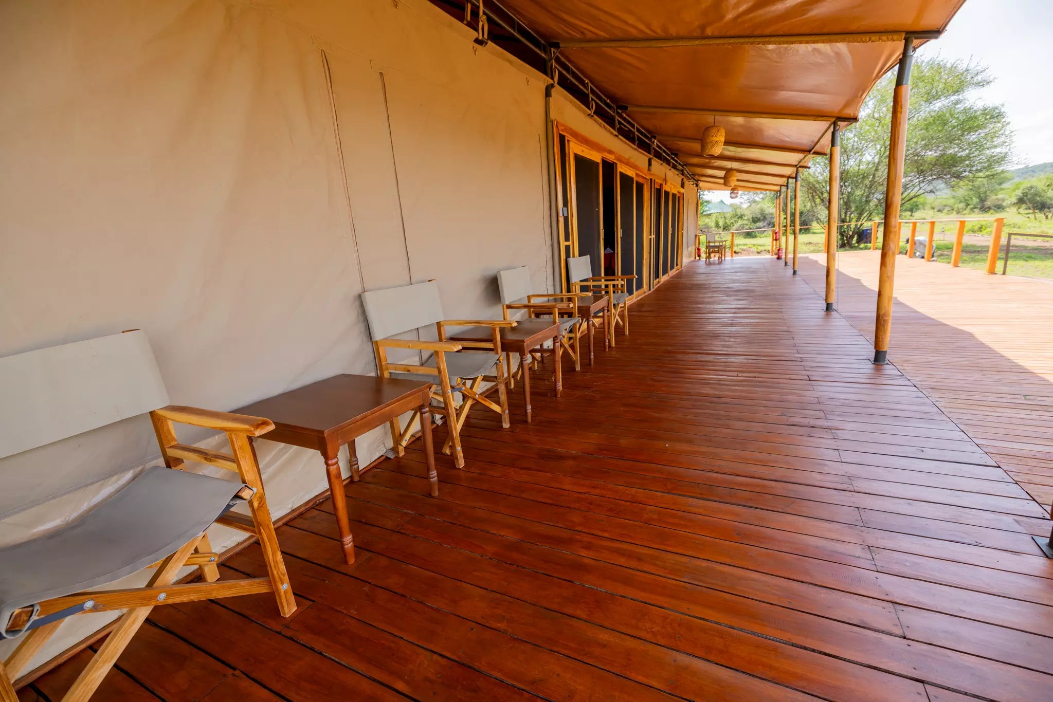 Serengeti Birding Experience