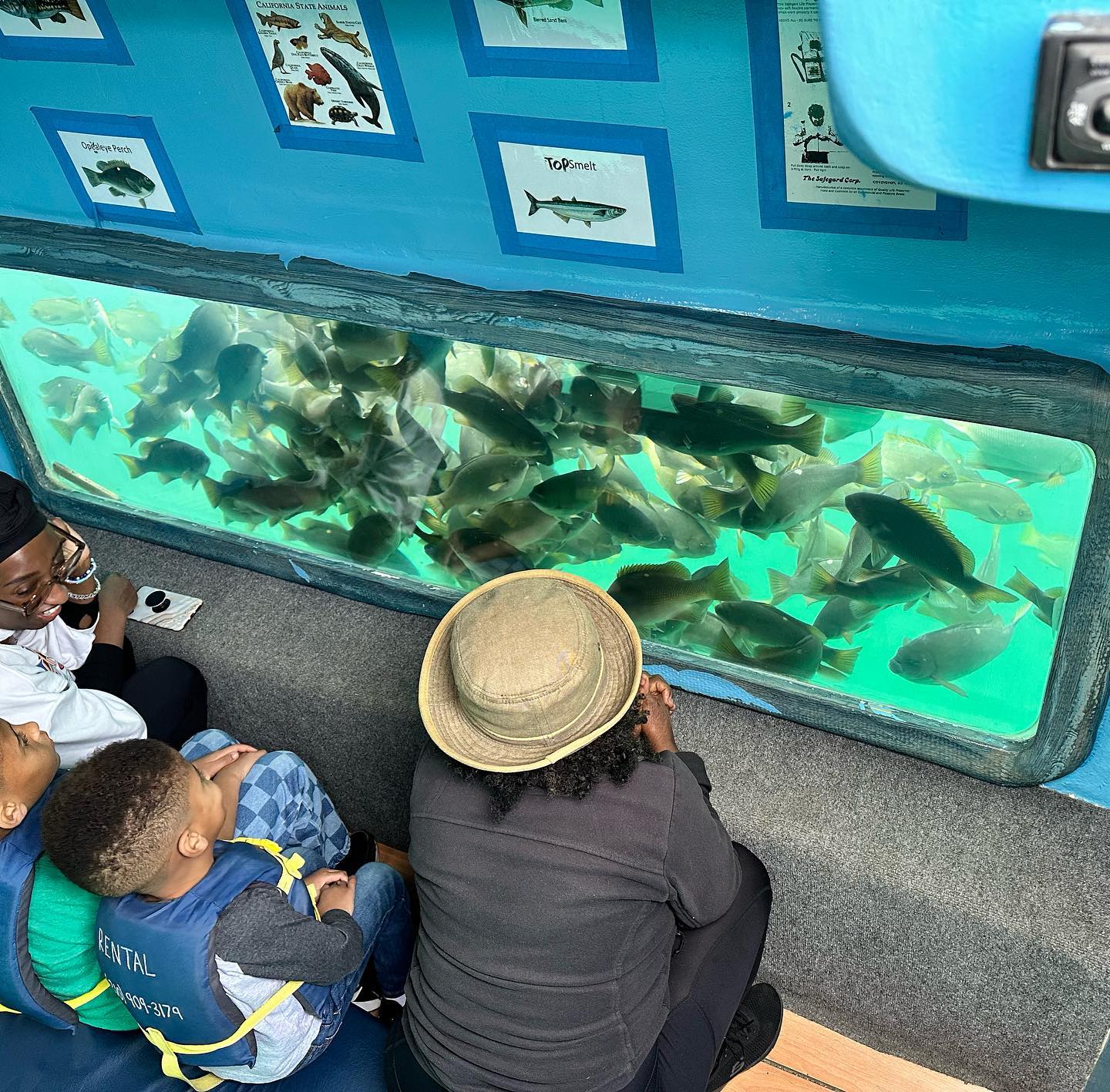 Glass Bottom Boat Tour