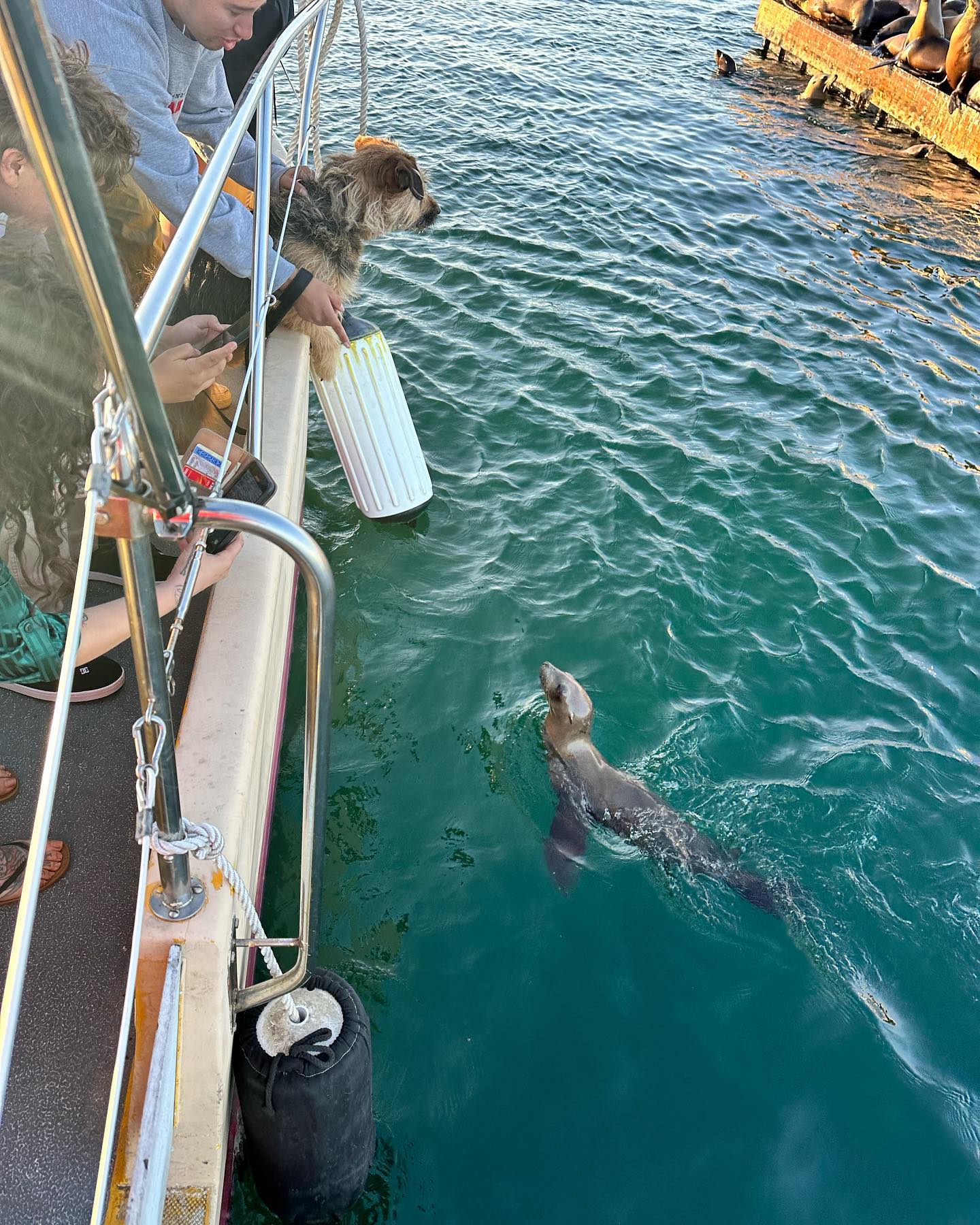 Glass Bottom Boat Tour
