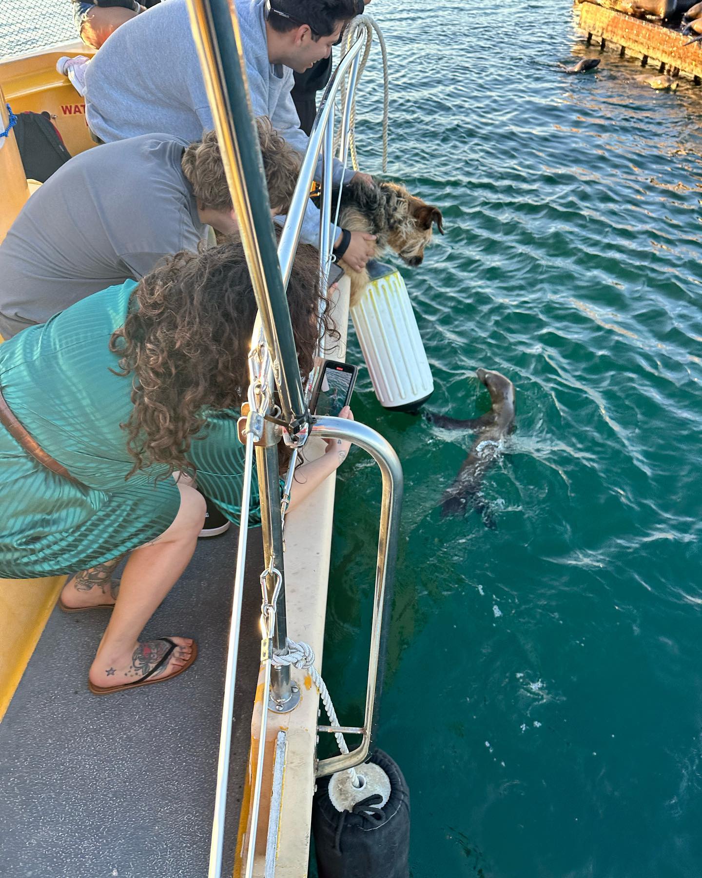Glass Bottom Boat Tour
