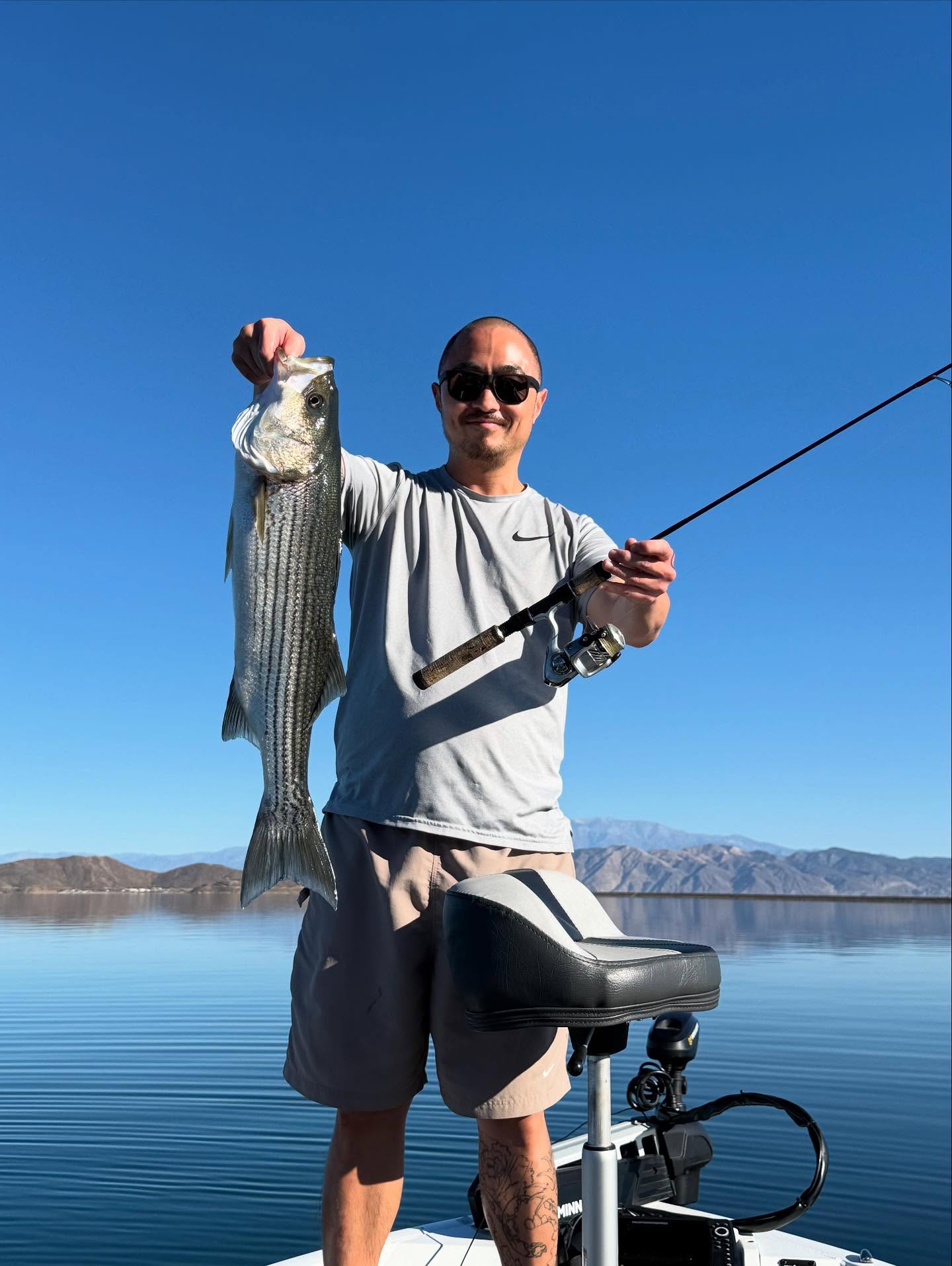 4 Hr Trips Stripers