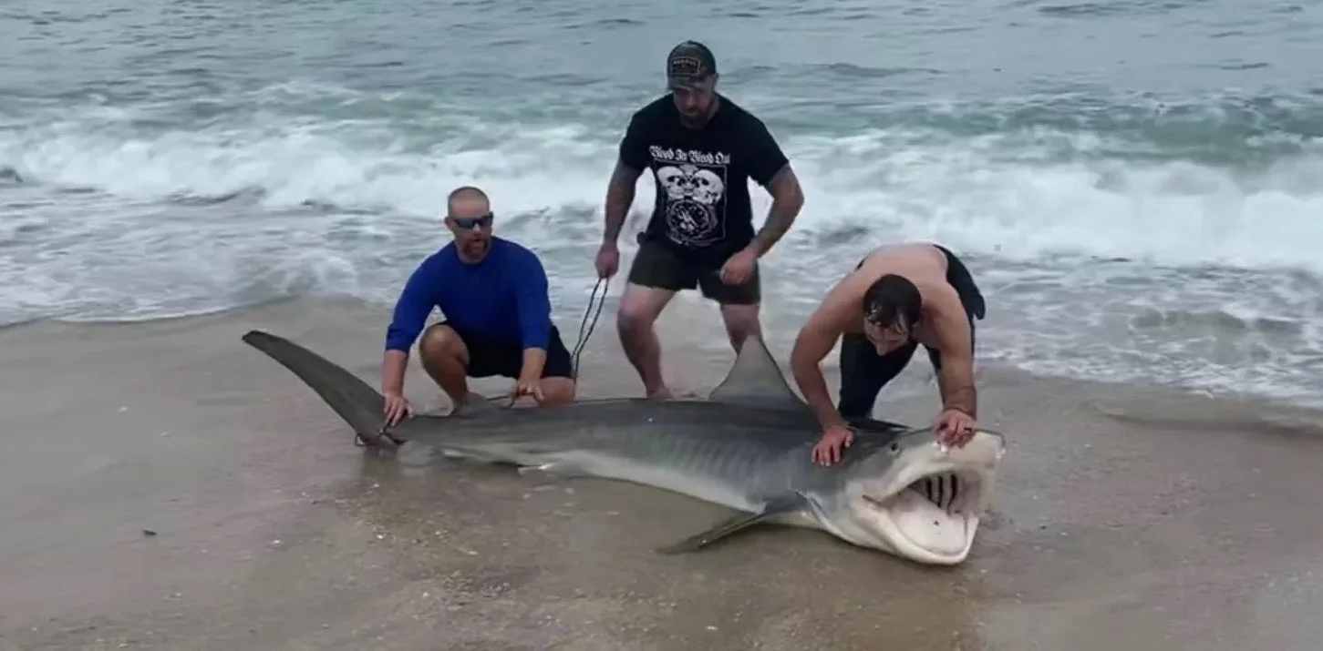4-Hour Shark Party Adventure!