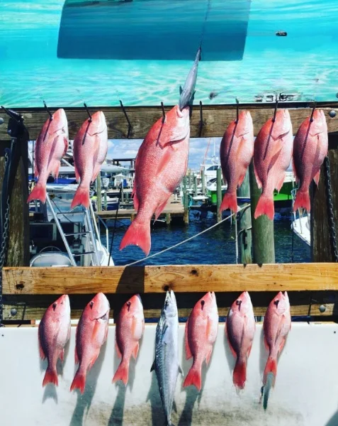 Fishing in Destin