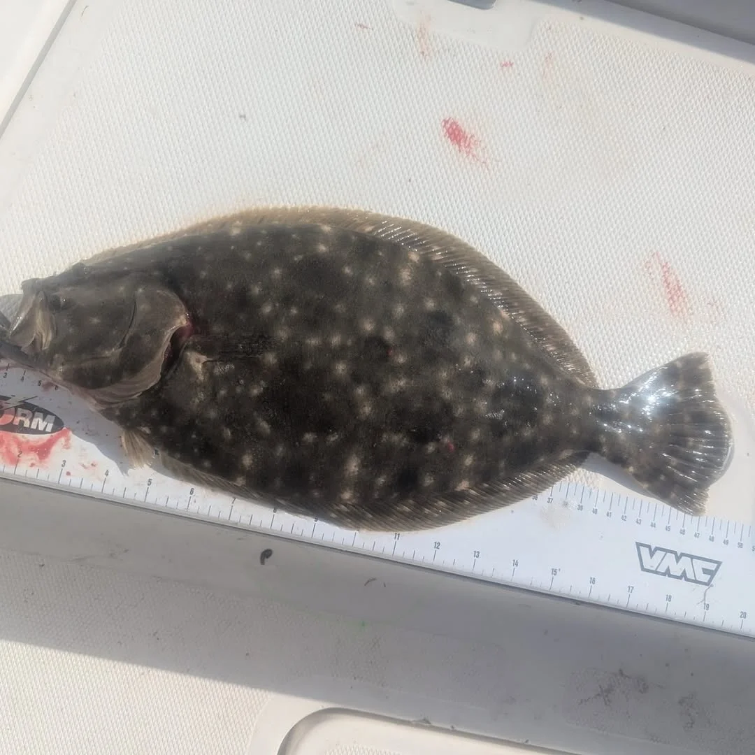 Inshore Fishing!