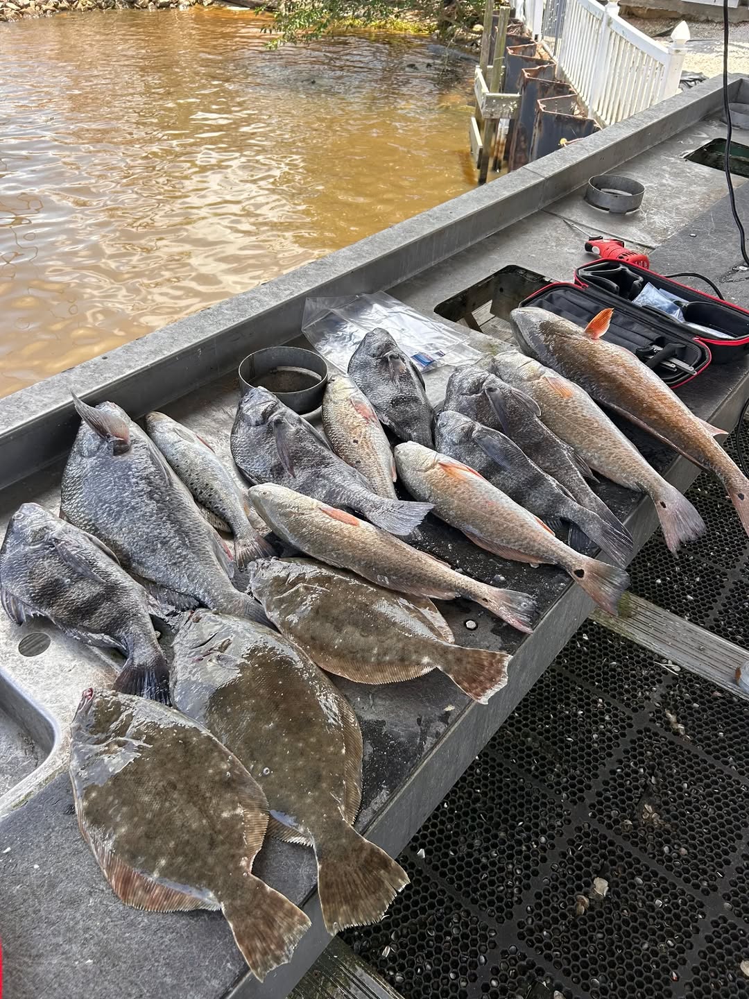 Inshore Fishing!