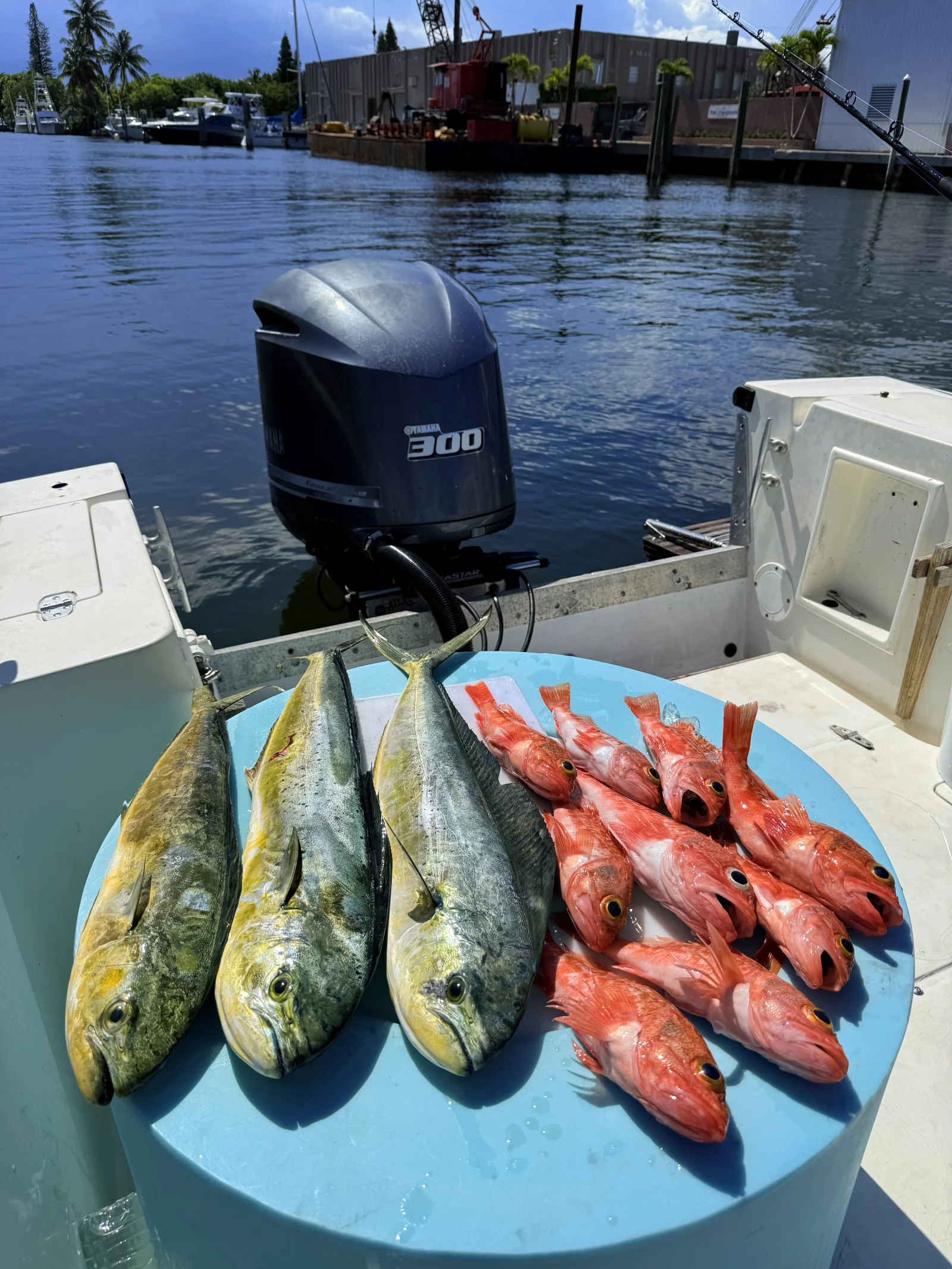 Fishing in Destin