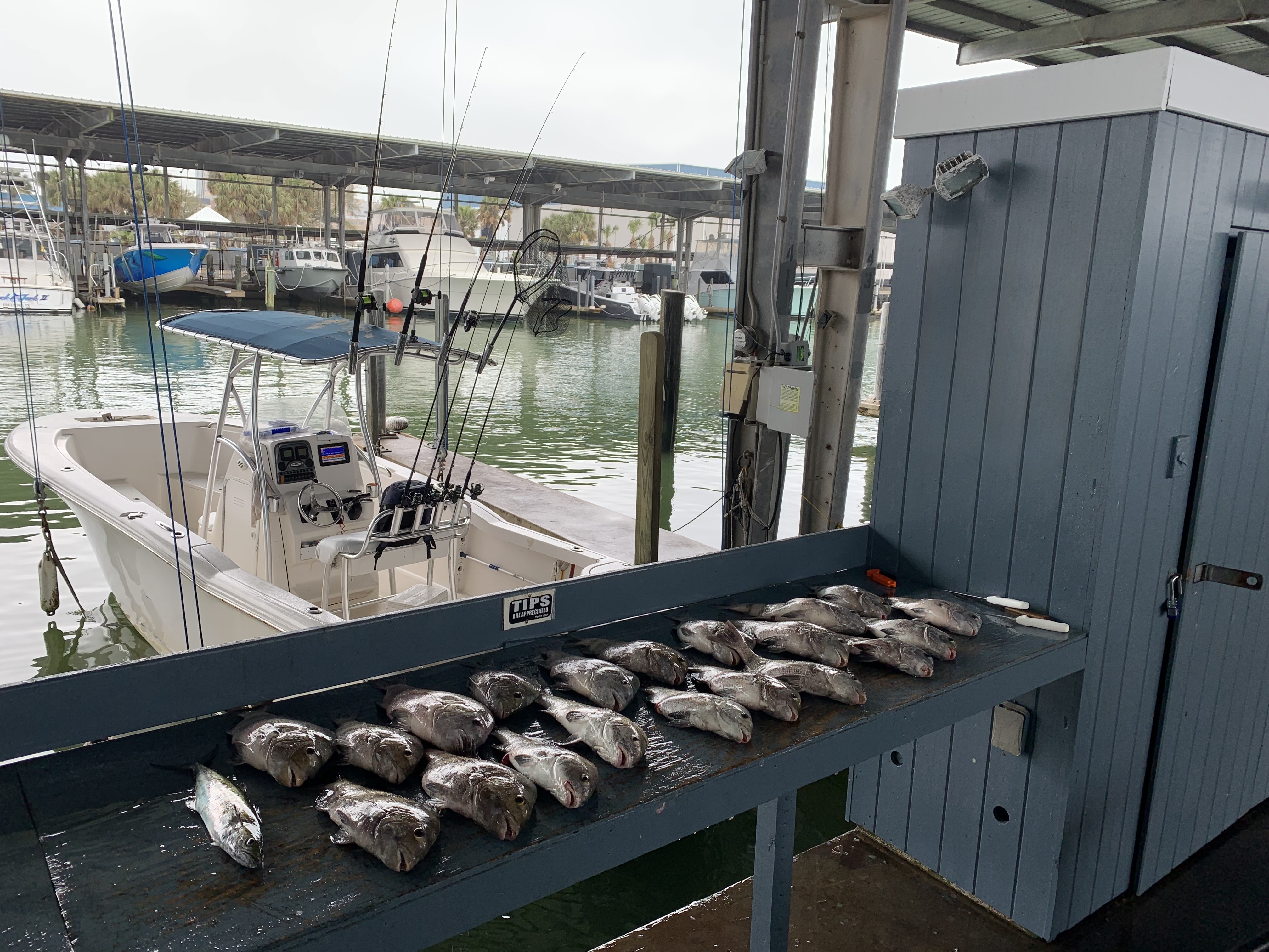 Fishing in Destin