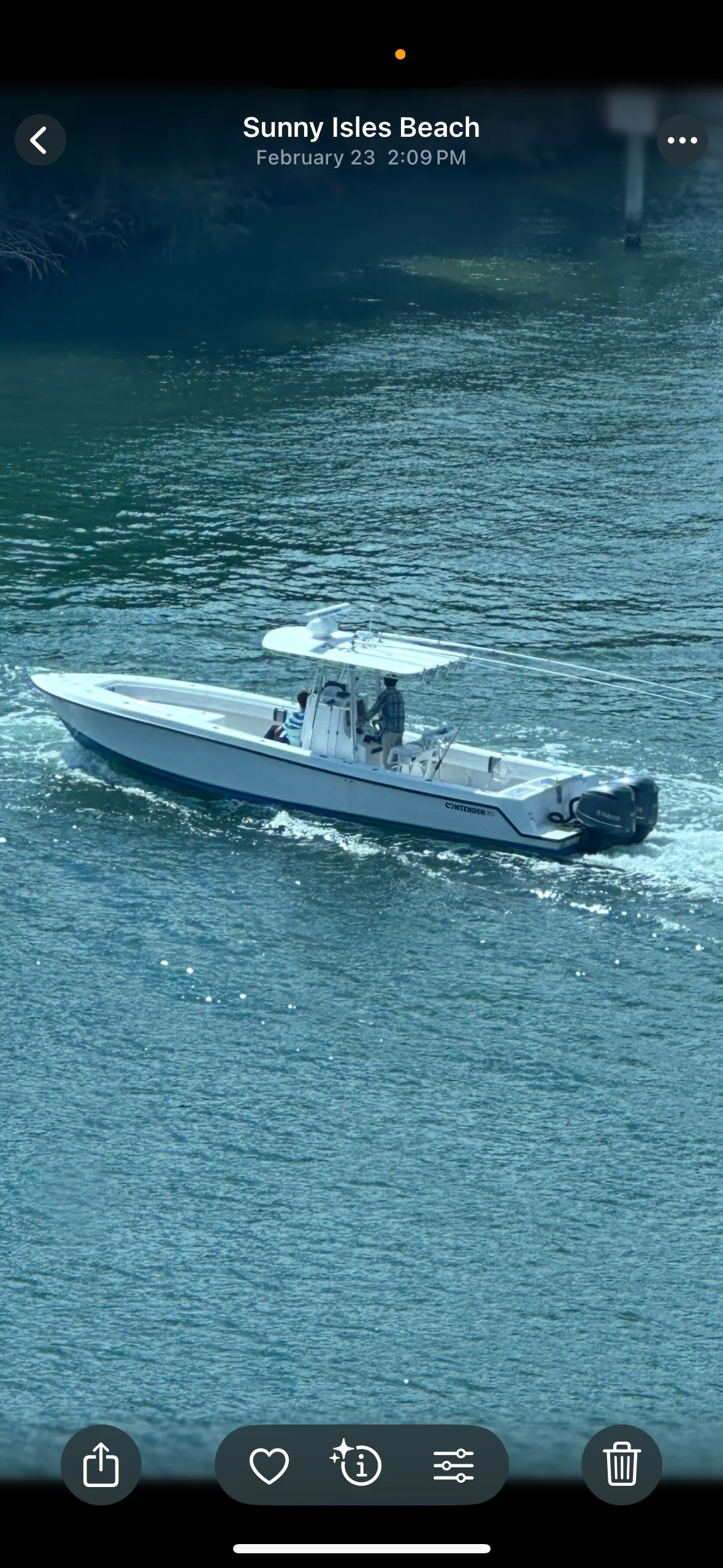 6-Hour Reef And Wreck Fishing