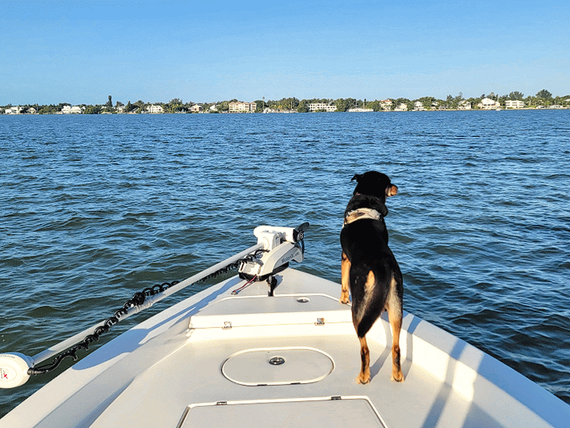 Fishing Excursion - Half Day