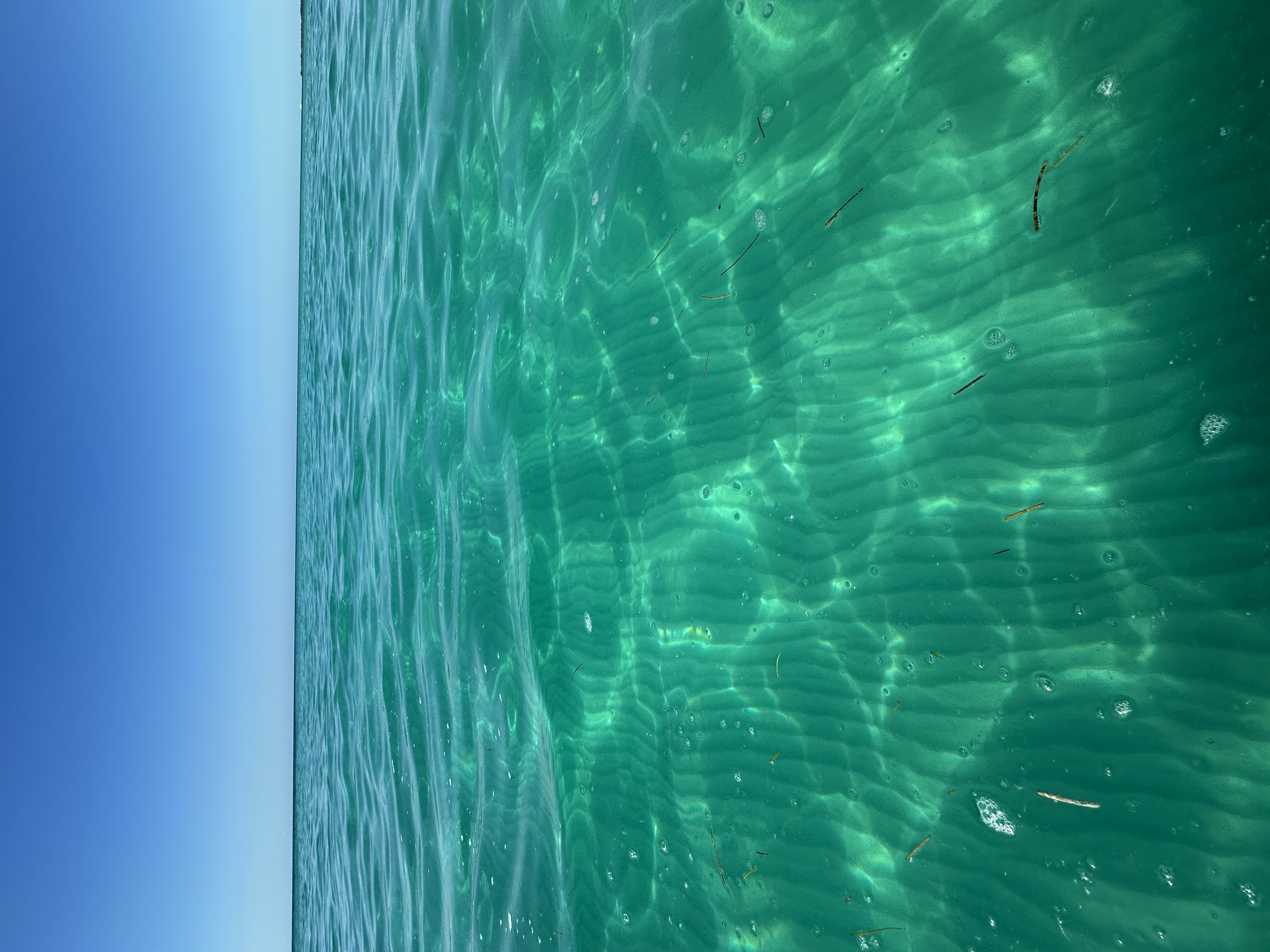 Key West Sandbar & Snorkel Trip