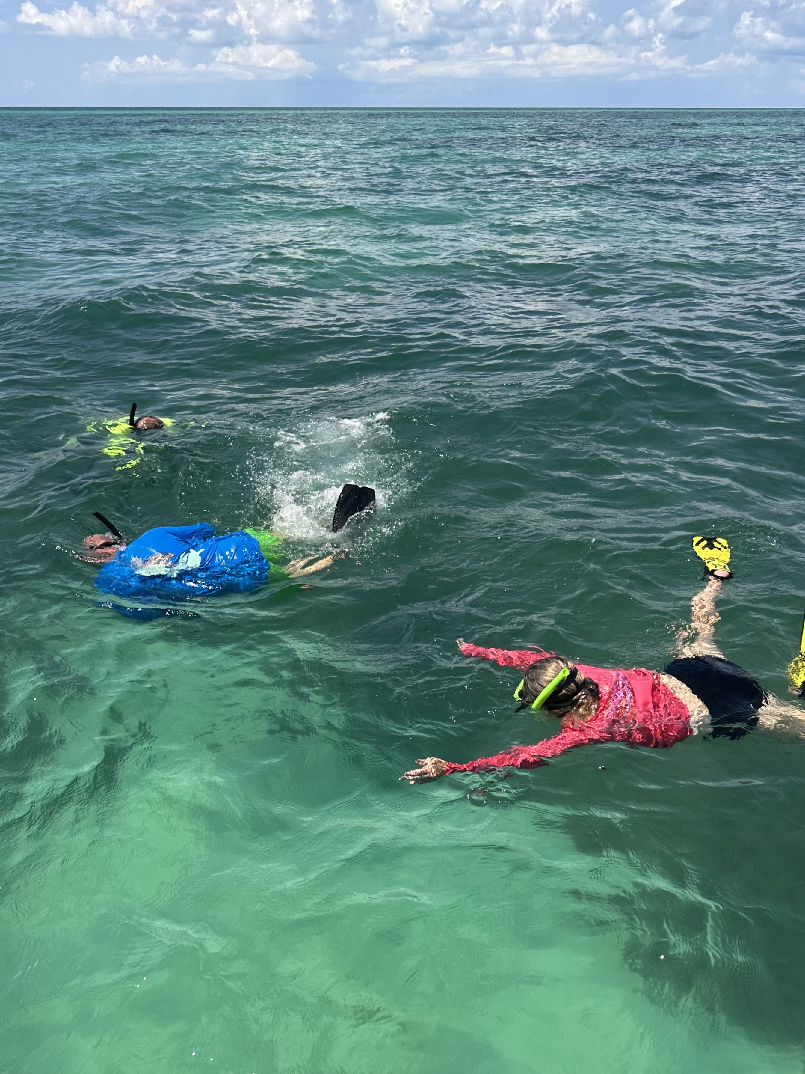 Key West Sandbar & Snorkel Trip