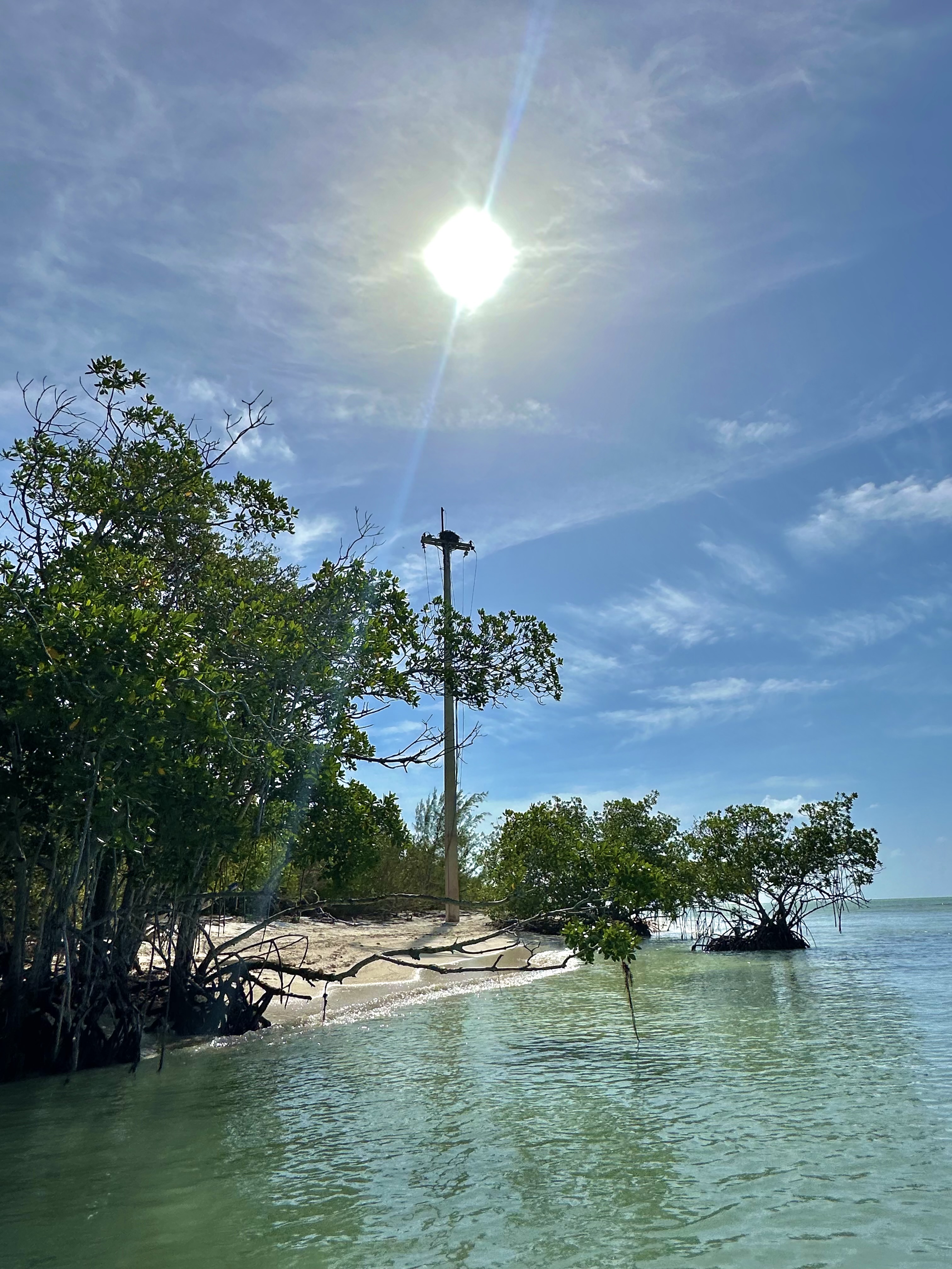 Key West Sandbar & Snorkel Trip