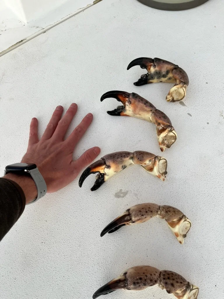 Matlacha Crabbing