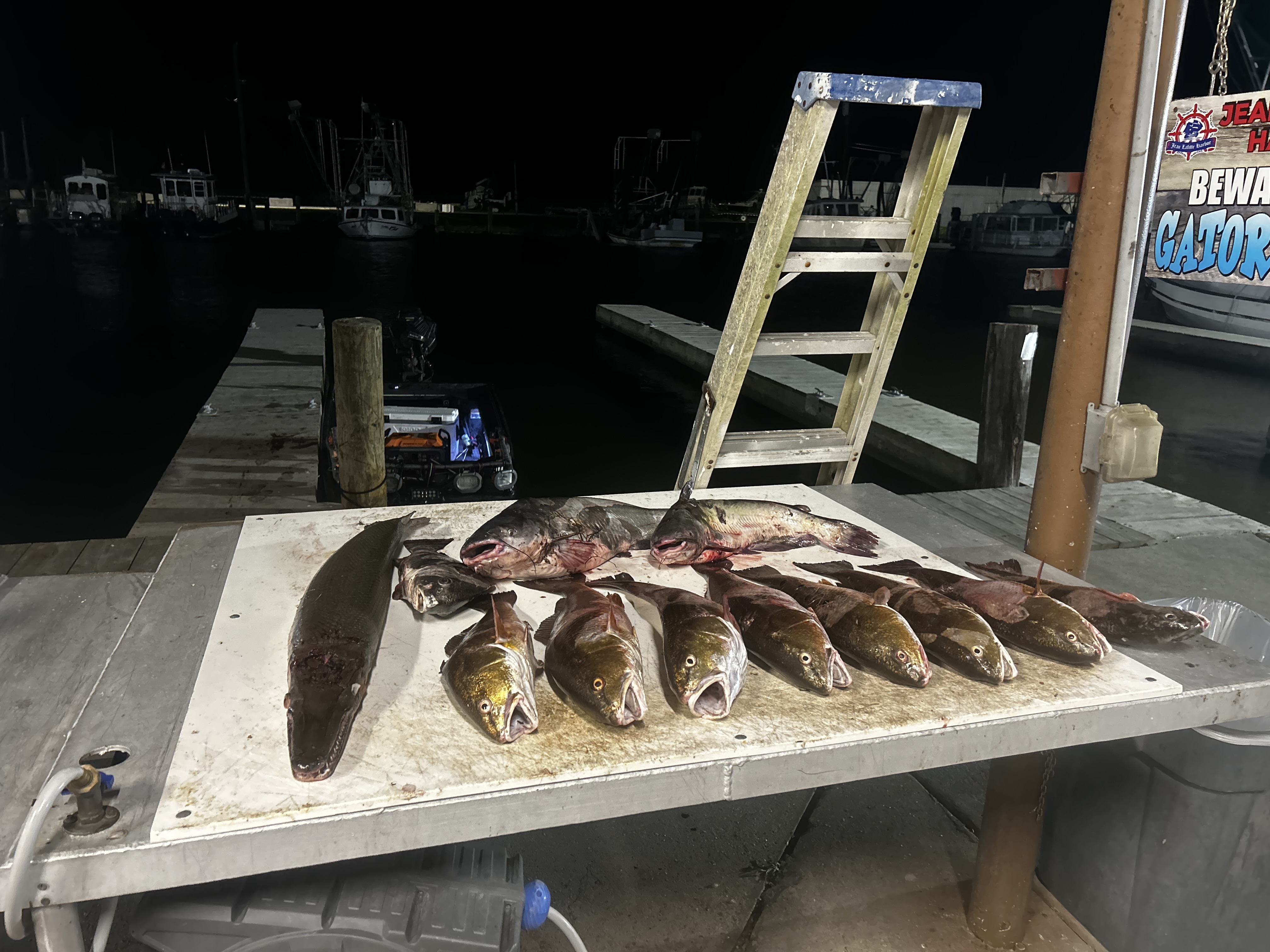 Fishing in Destin