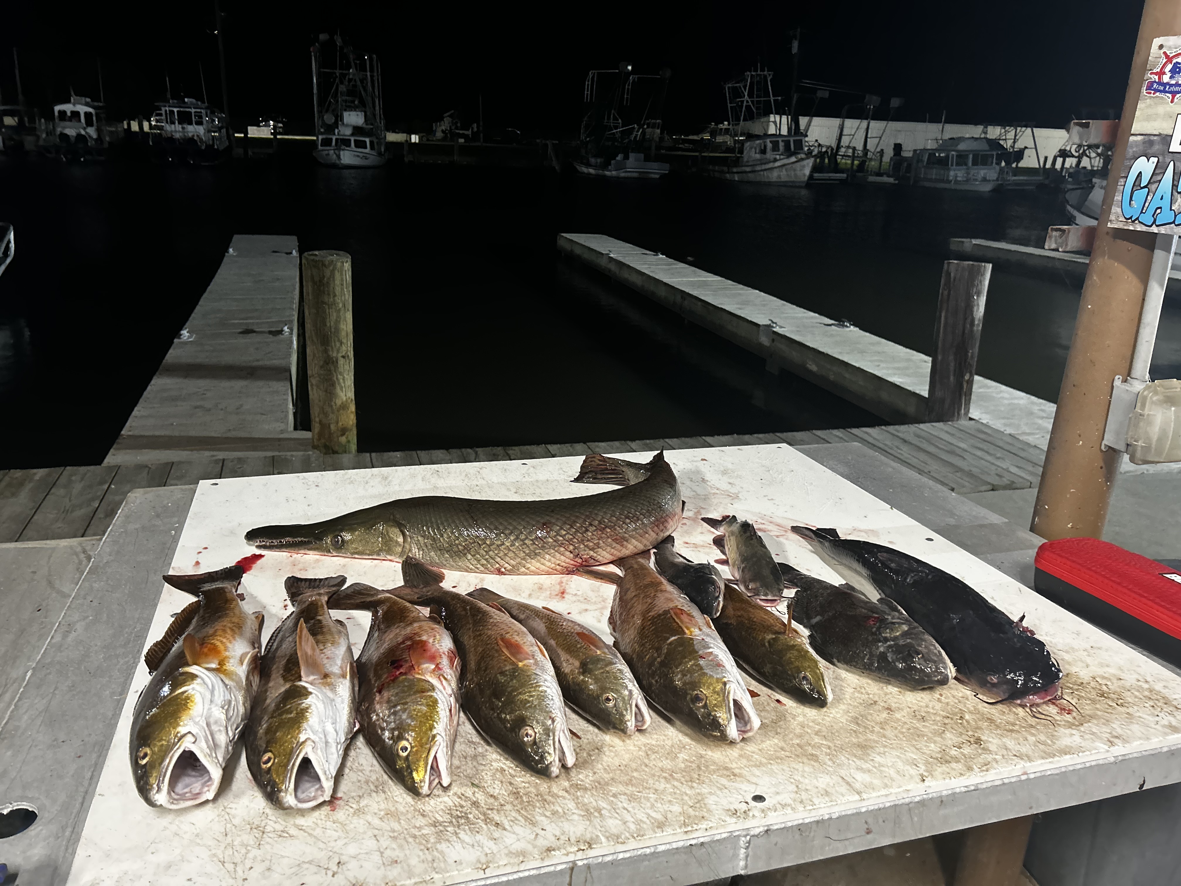 Fishing in Destin