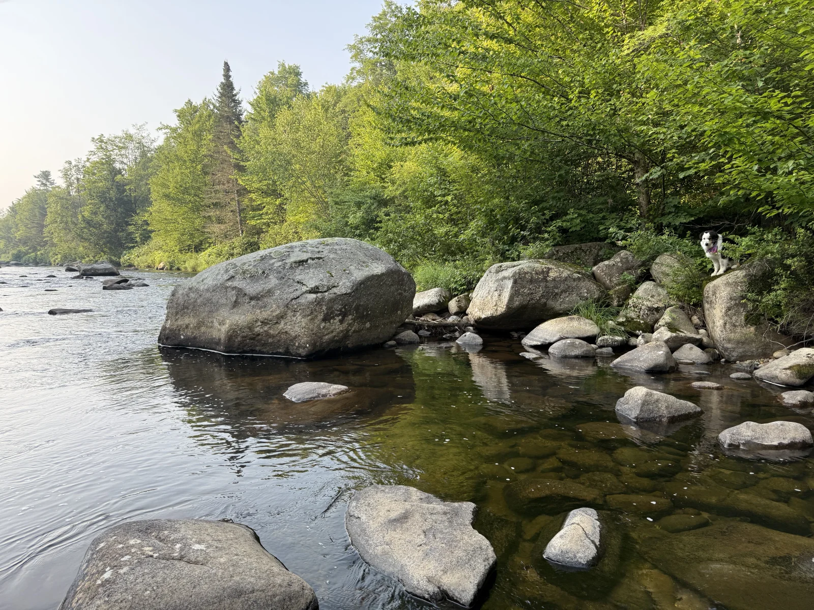 Northern NH Walk & Wade 