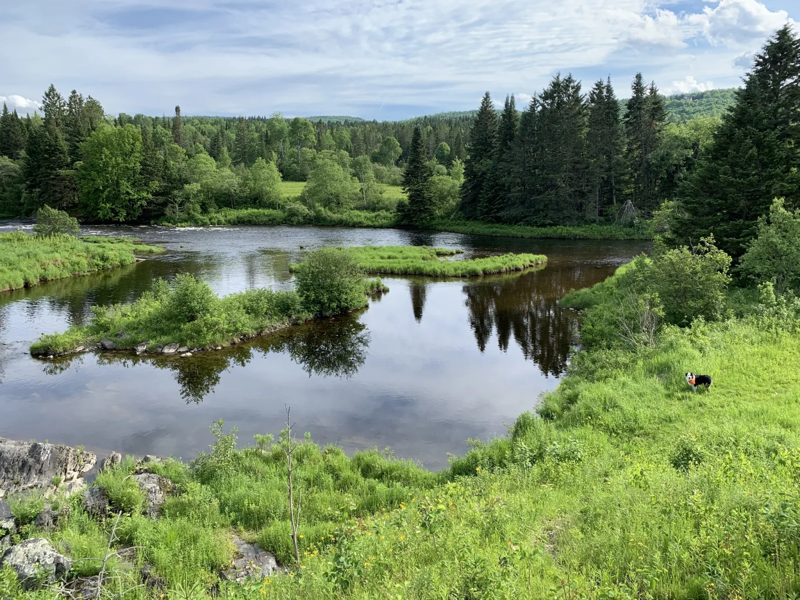 Fly Fishing Trip