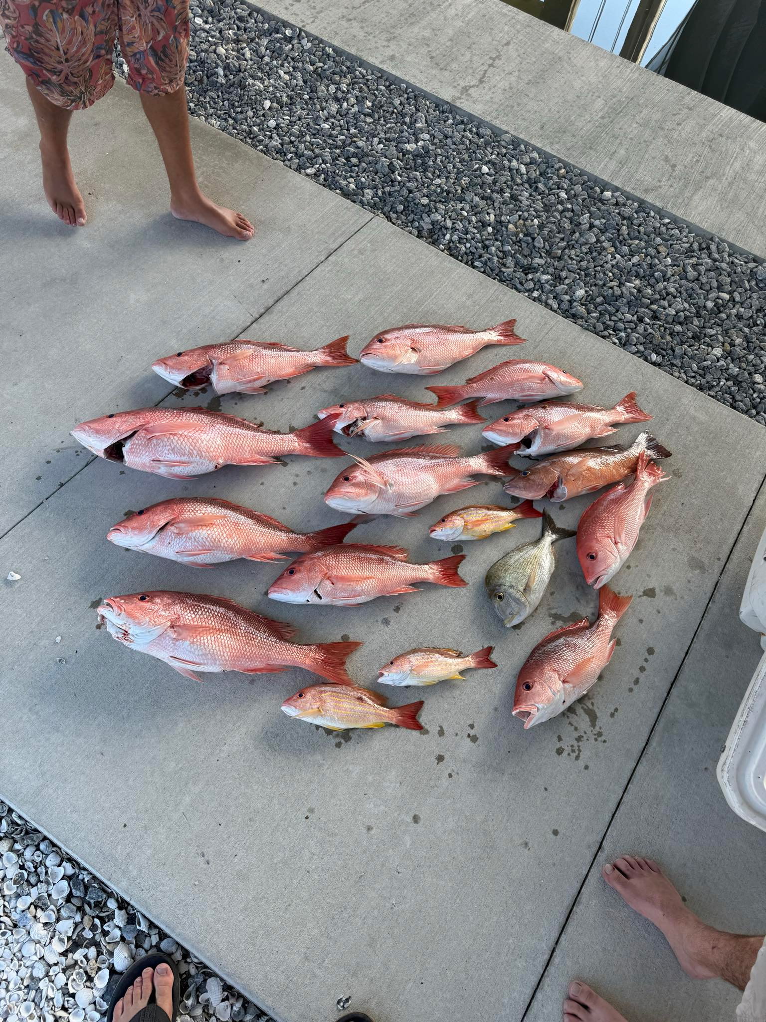Fishing in Destin