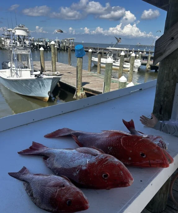 Fishing in Destin