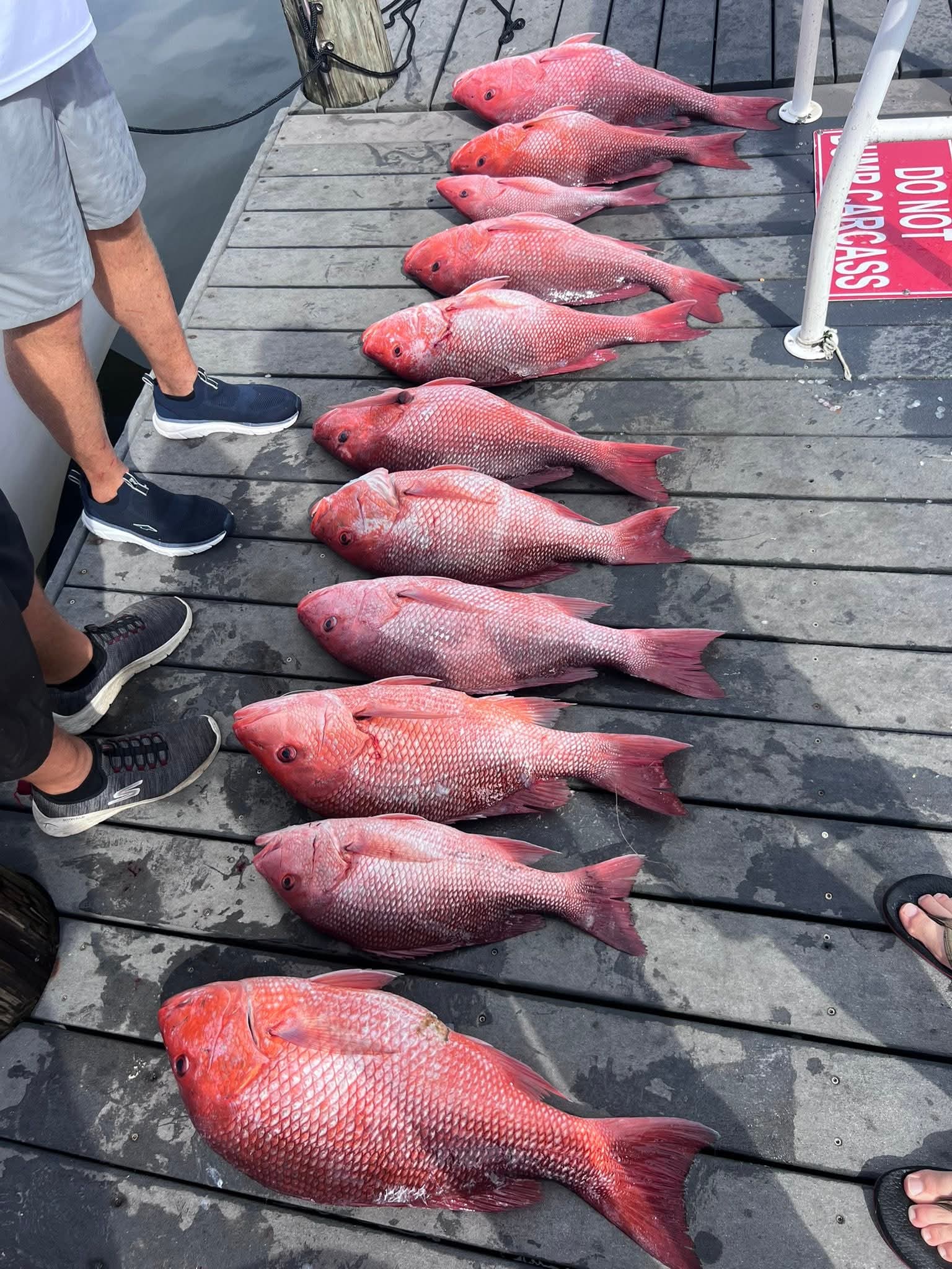 Fishing in Destin