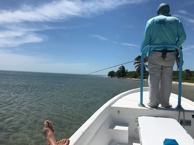 Caye Caulker On The Fly