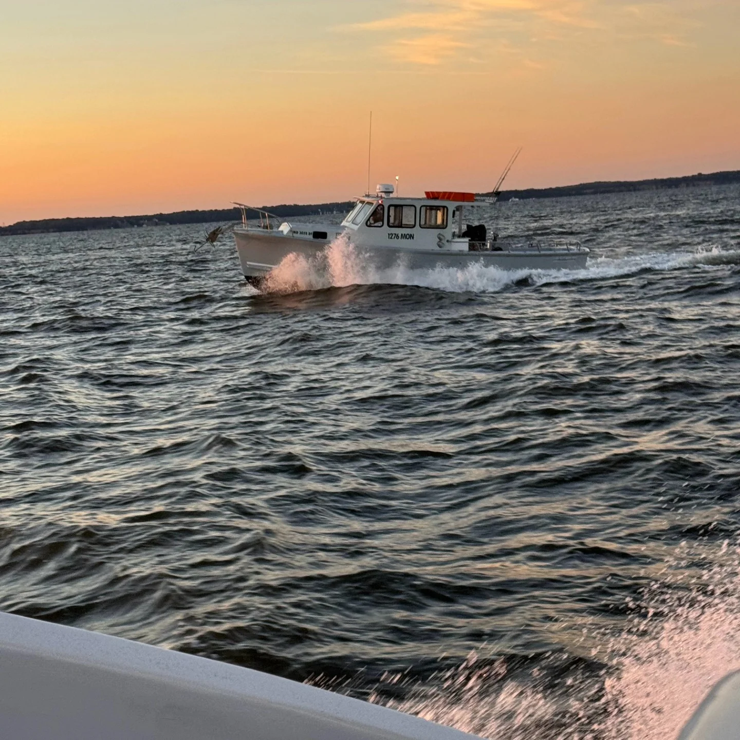 Crabbing Trip