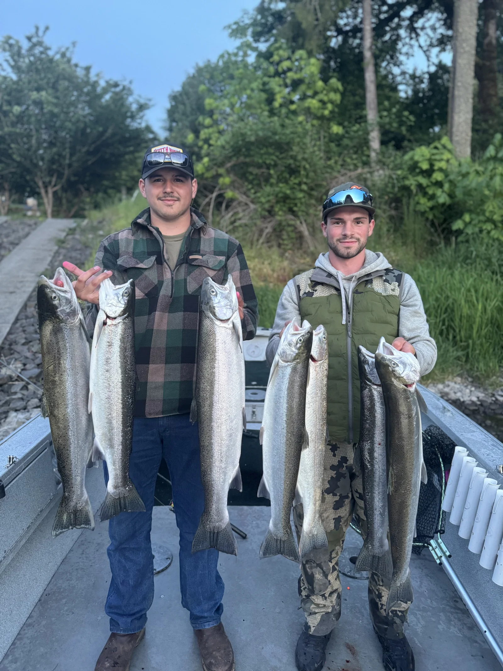 Summer Steelhead 
