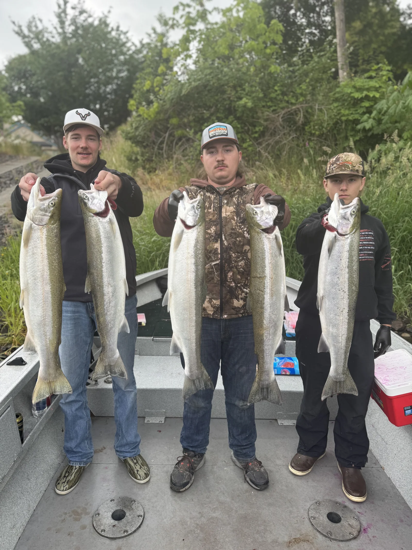 Summer Steelhead 