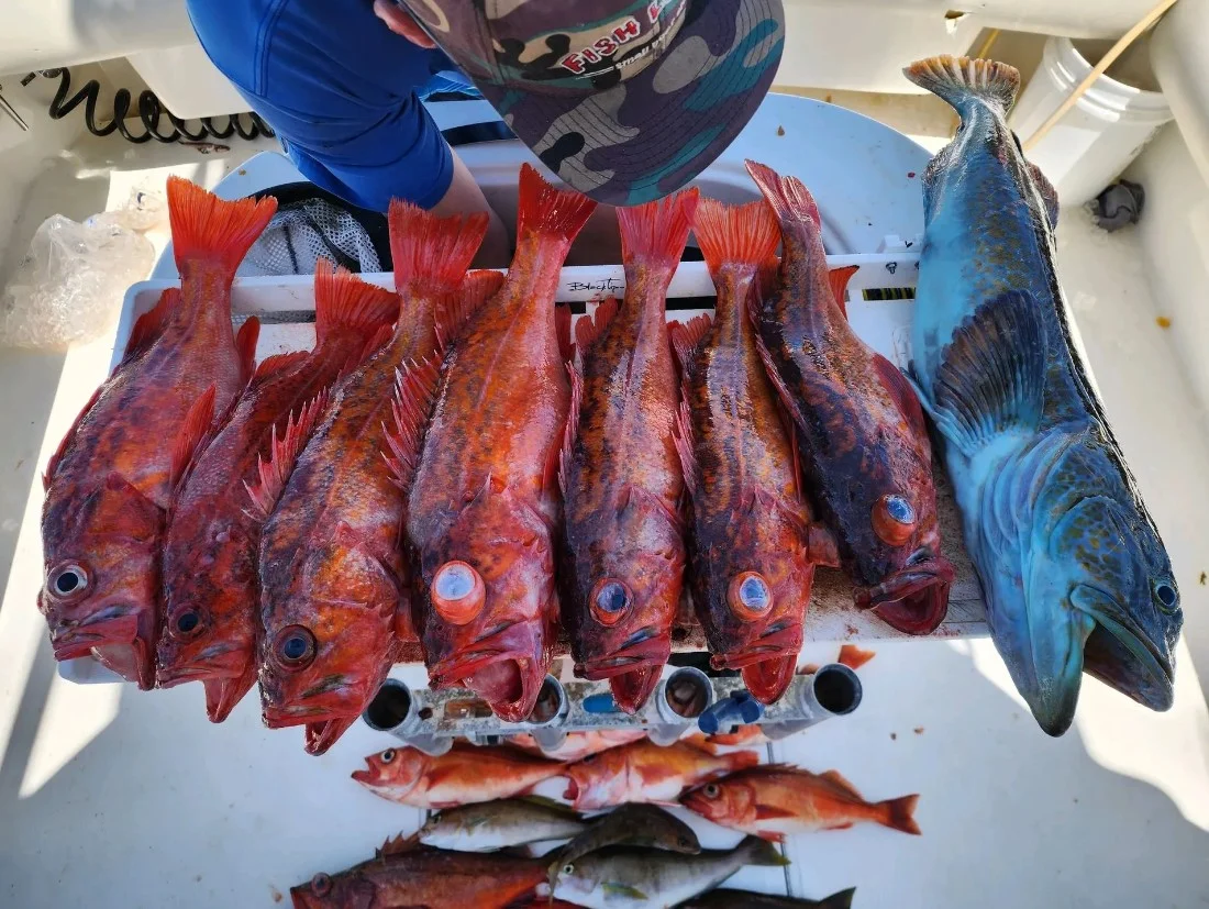 Fishing in Destin
