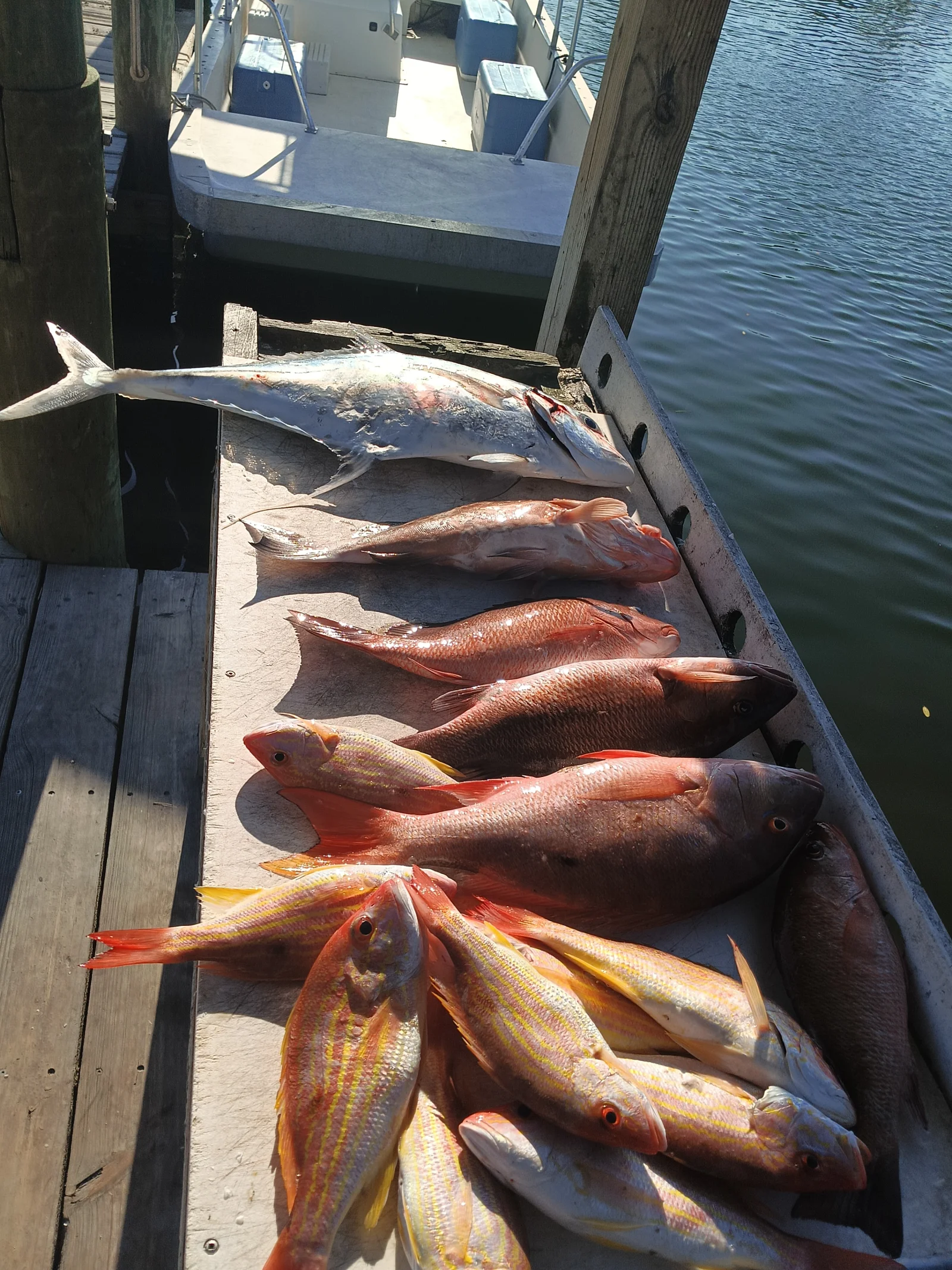 Fishing in Destin