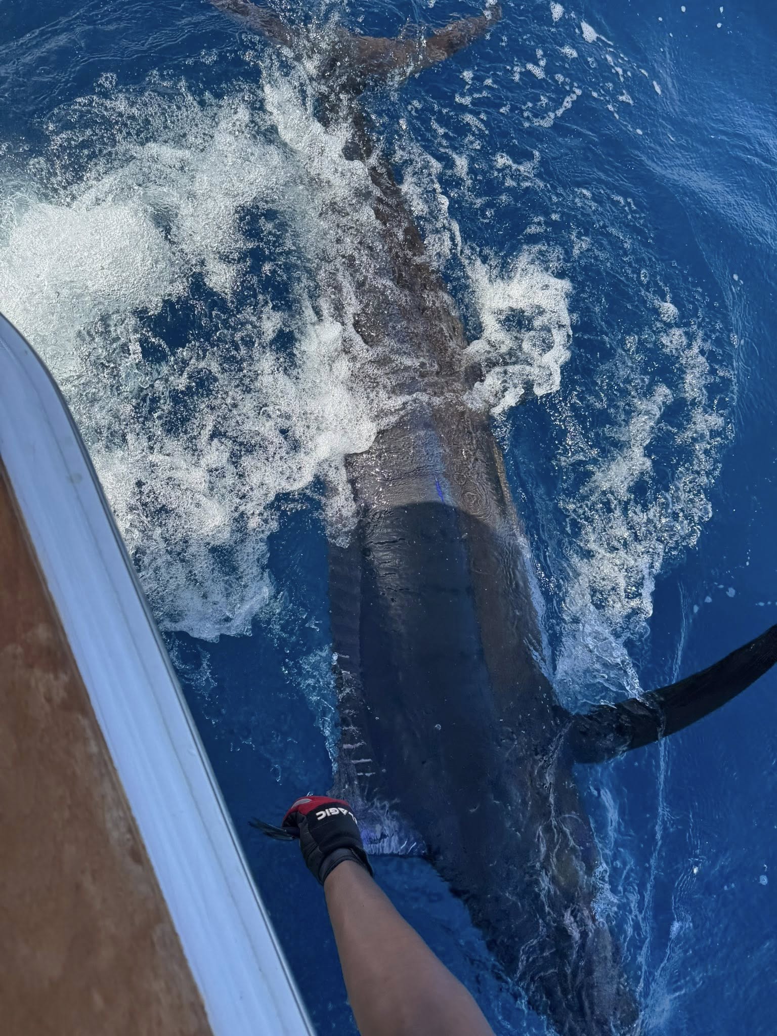 Sport Fishing Trip