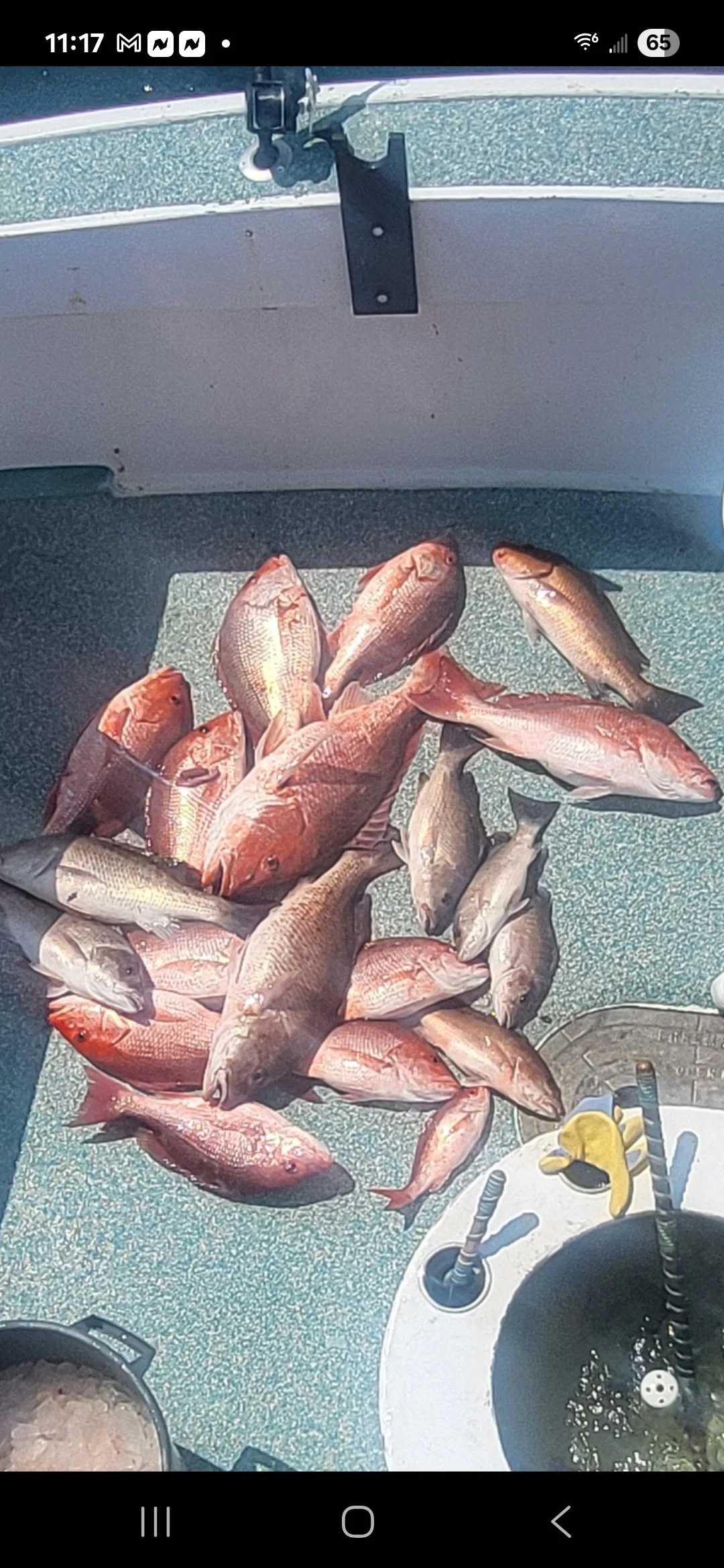 Fishing in Destin