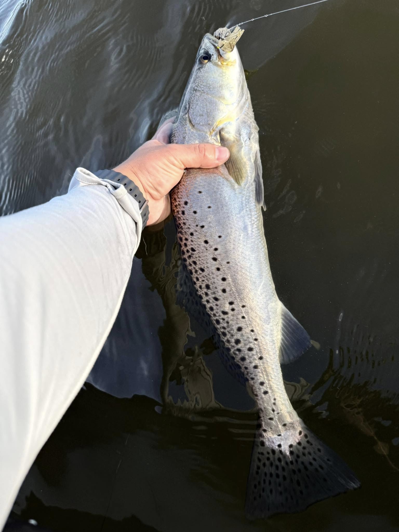 4-8 Inshore Trip