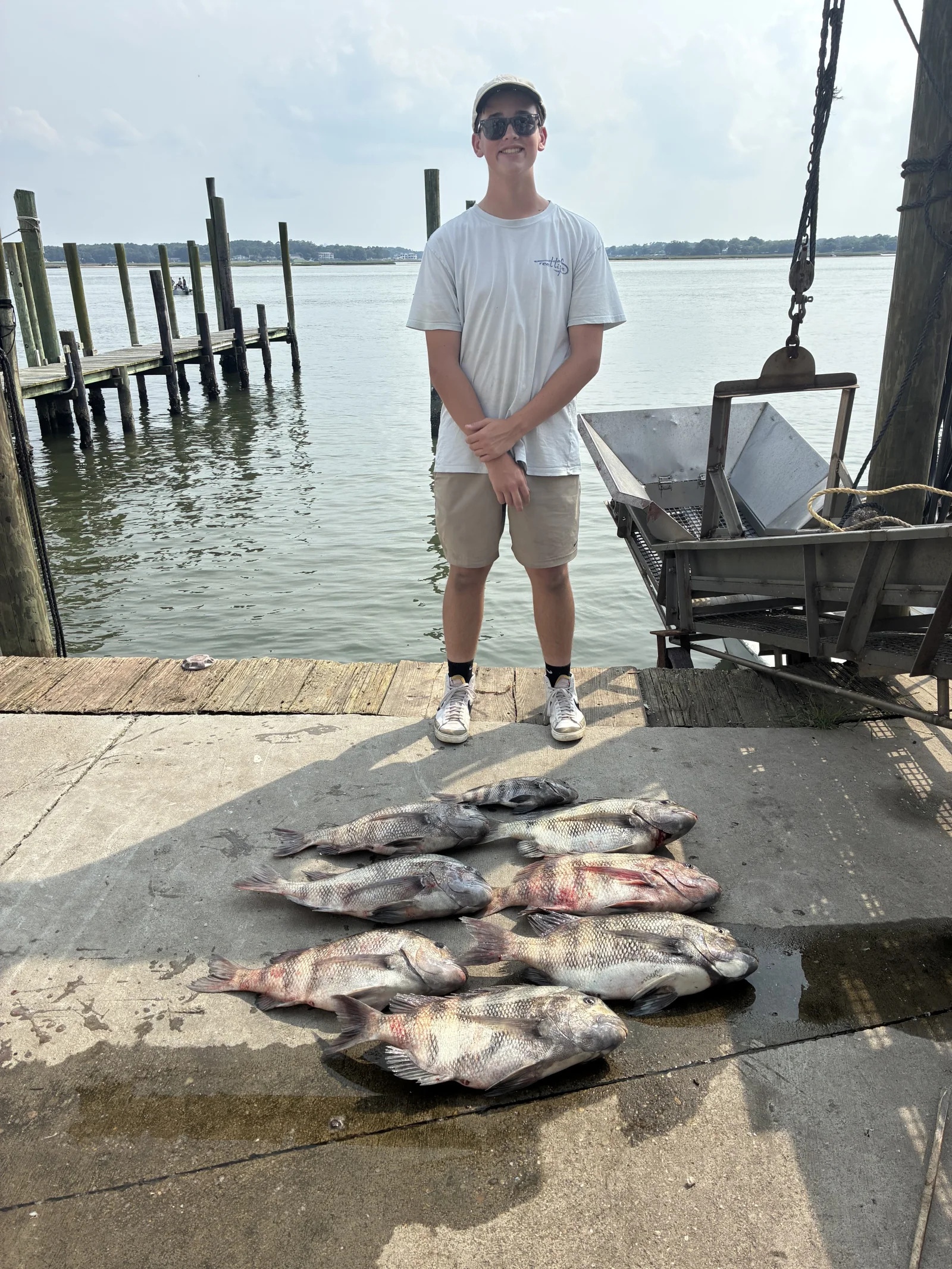8 Hour Bay Trip