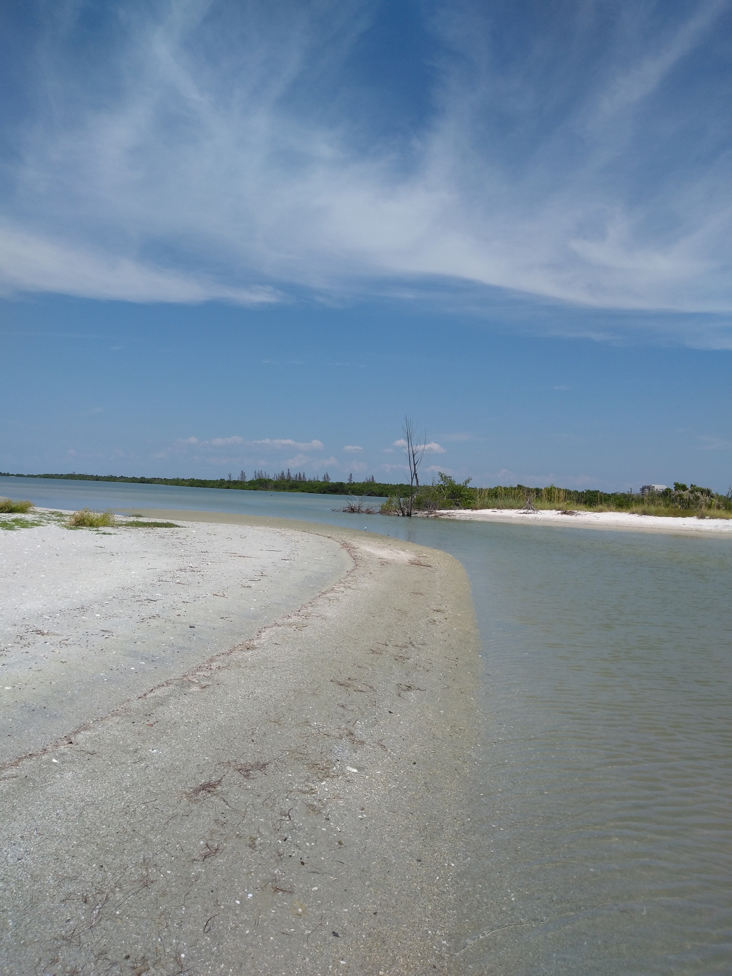 Shelling Boat Tours 