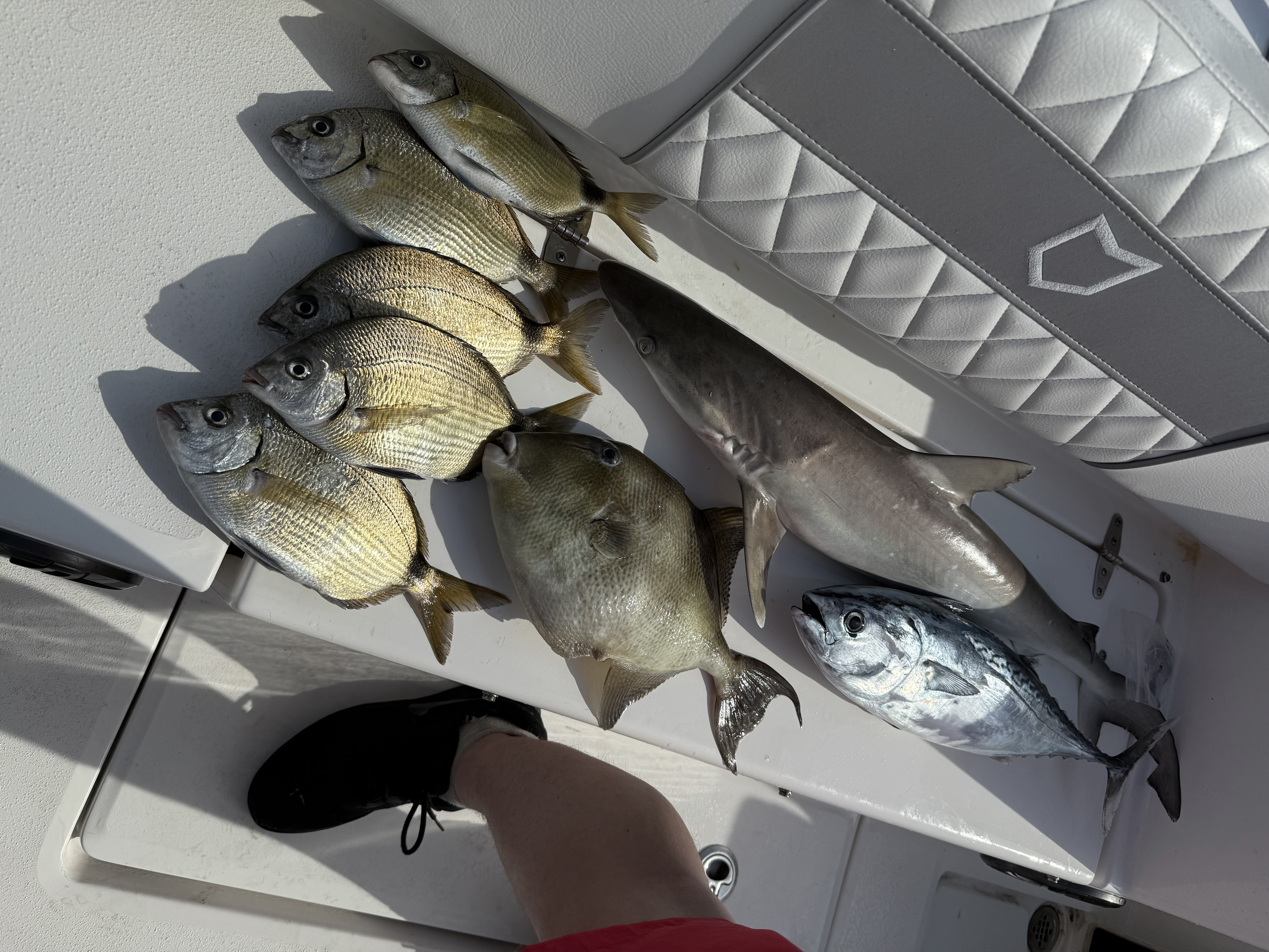 Fishing in Destin