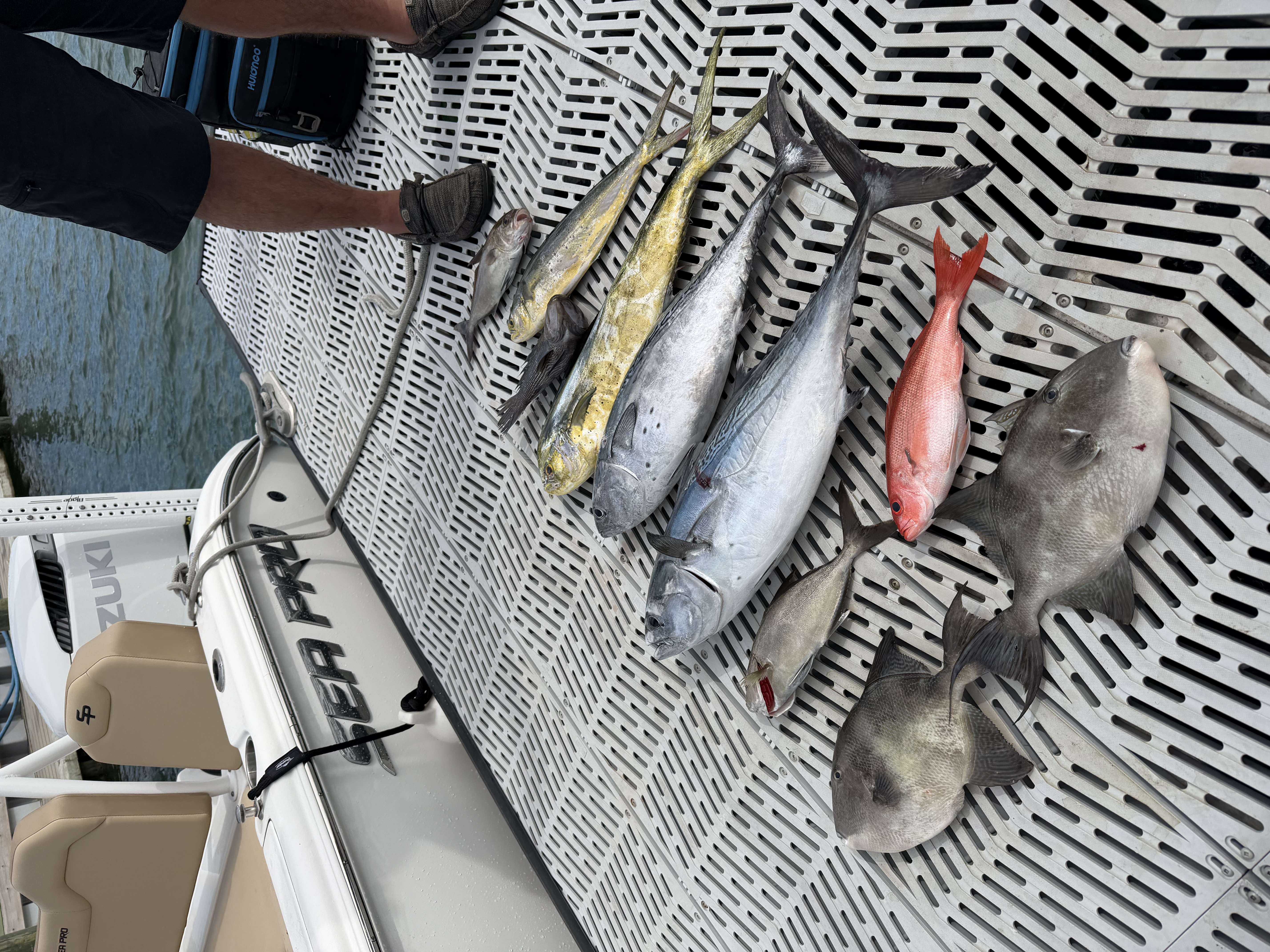 Fishing in Destin