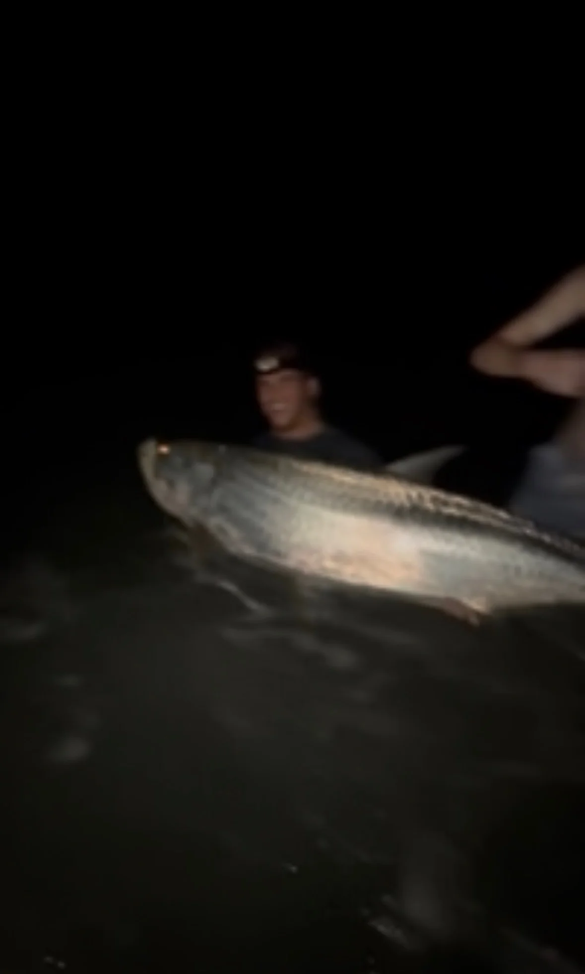 Nightime Shark Fishing Charter 