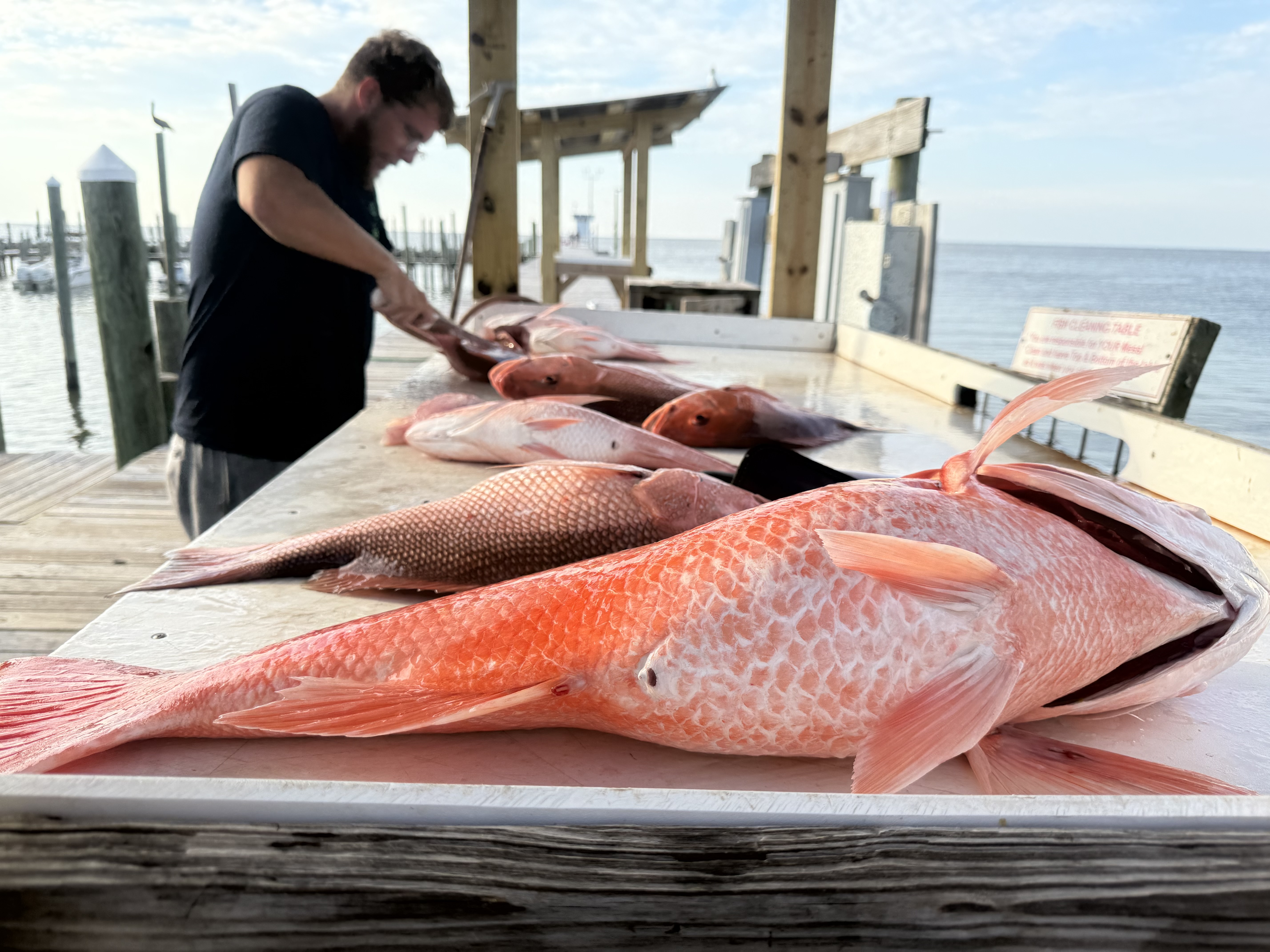 Fishing in Destin