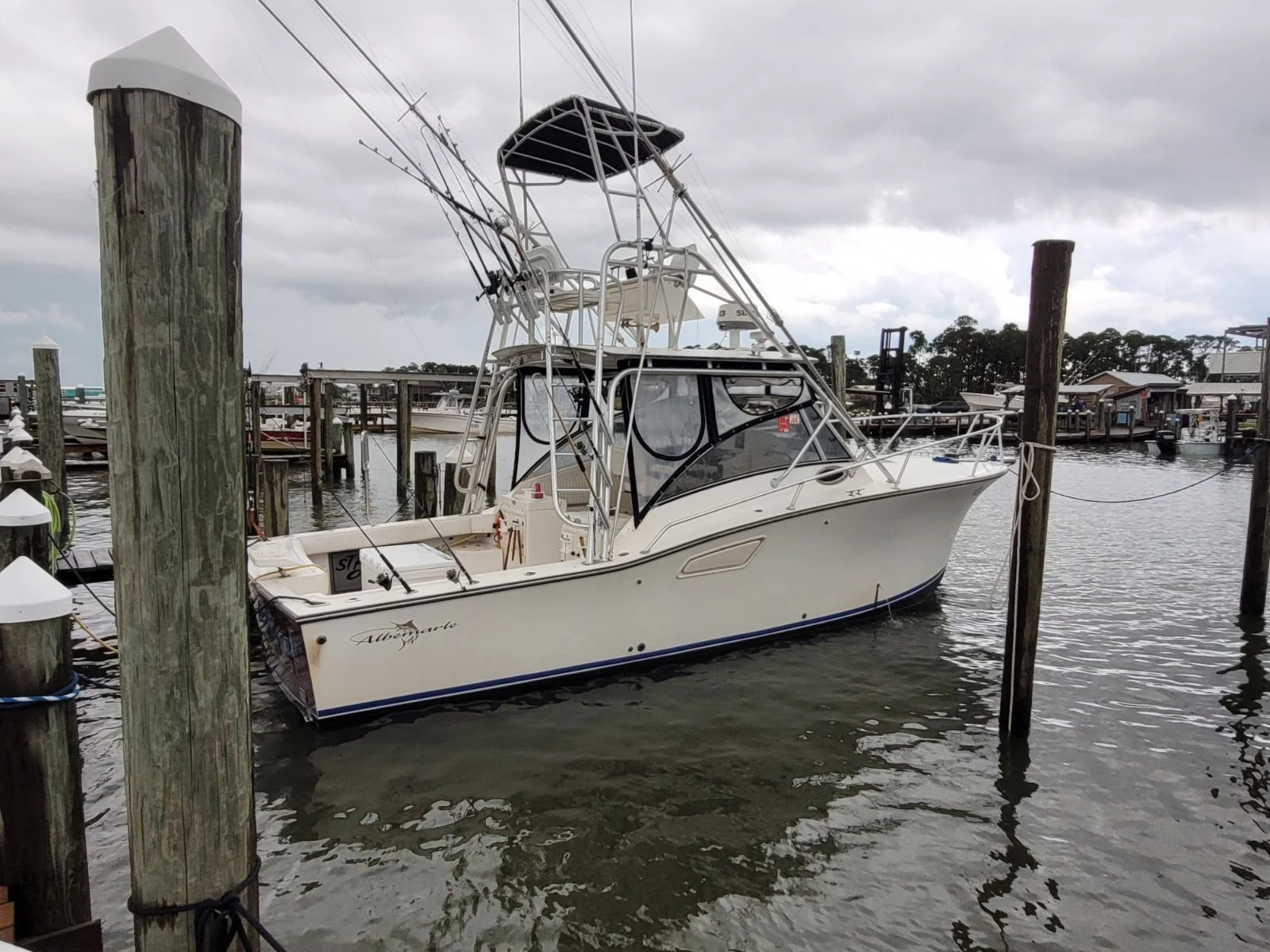 Boat photo for 4 Hour Snapper