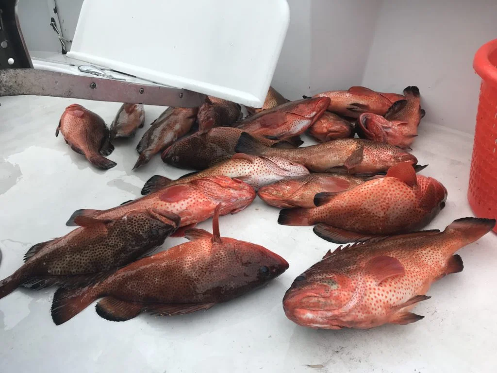 Fishing in Destin