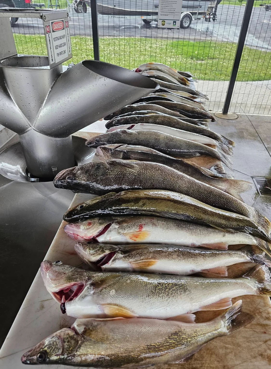 Lets Go Fishing