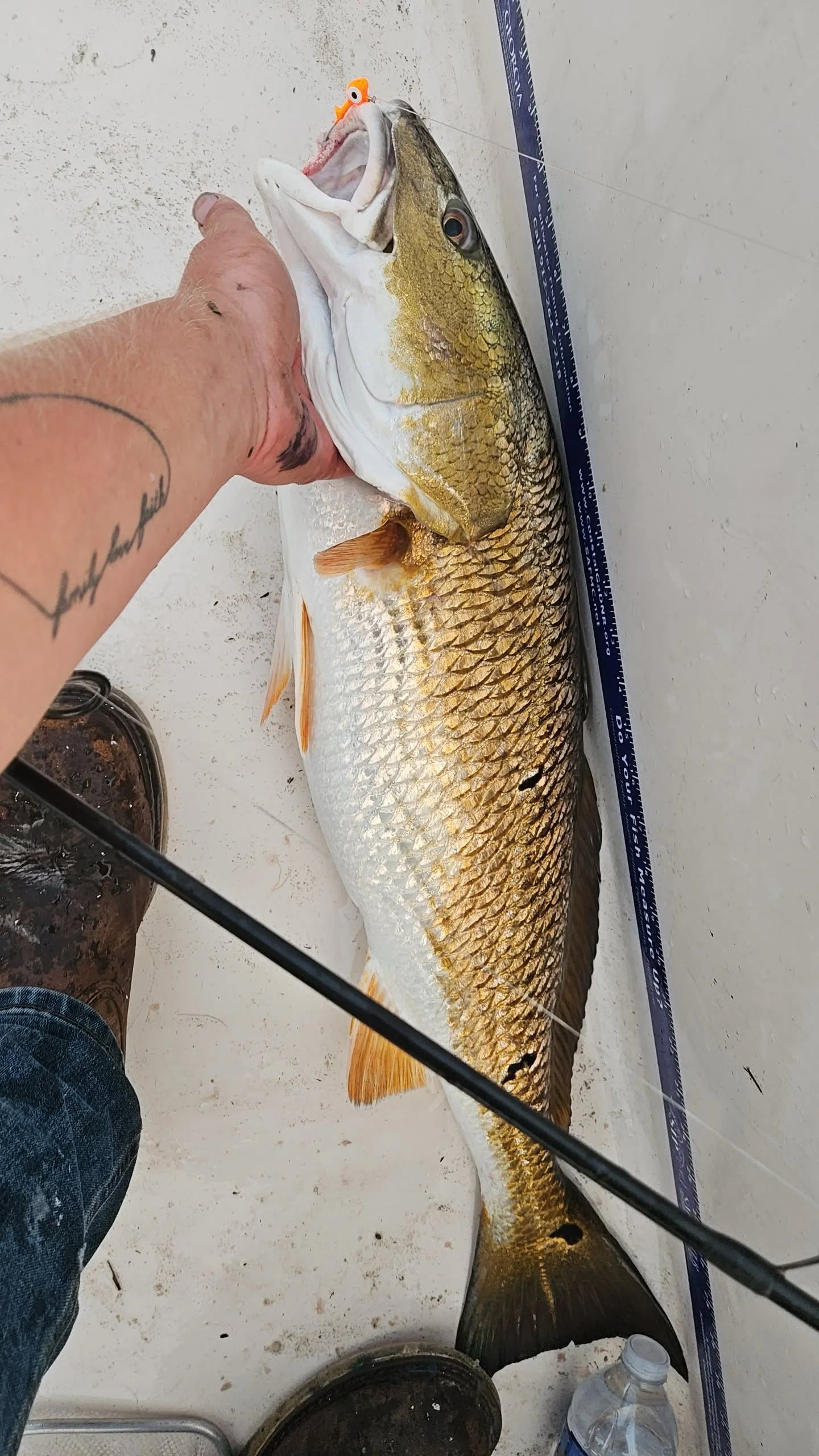 Live Bait Fishing Savannah Ga 