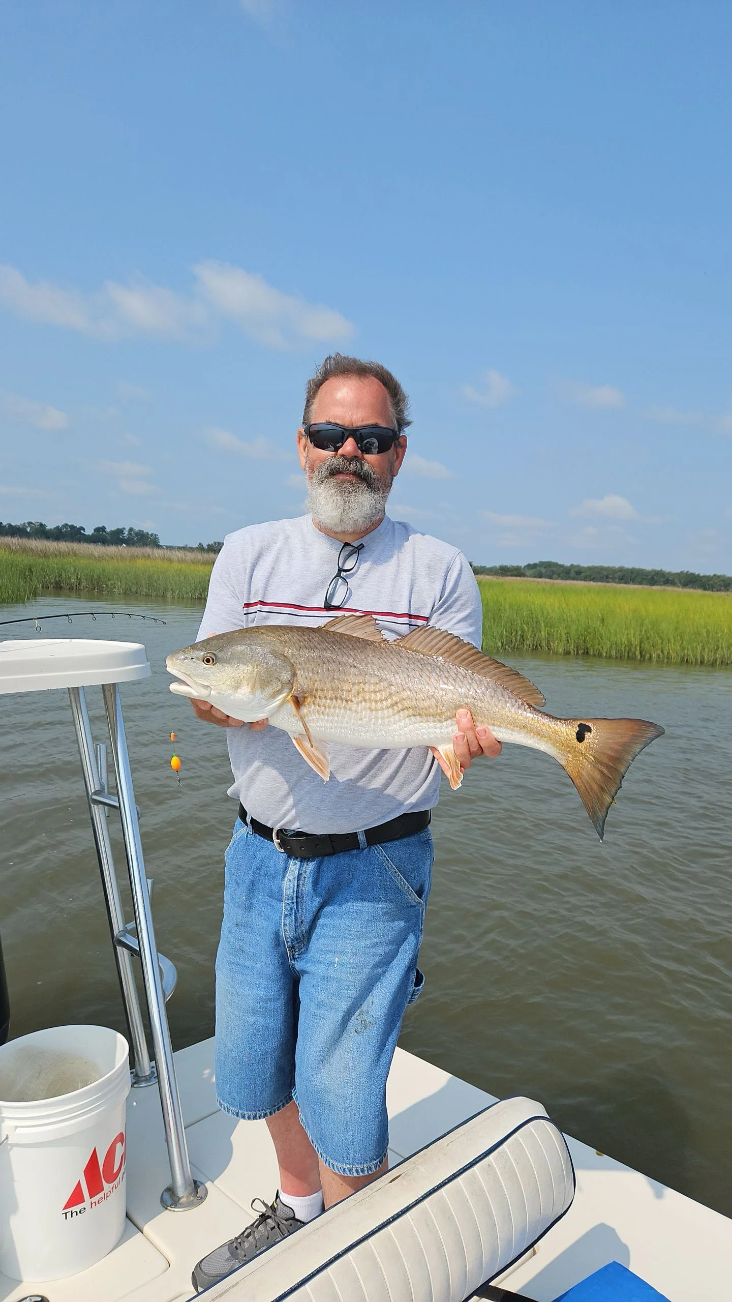 Live Bait Fishing Savannah Ga 
