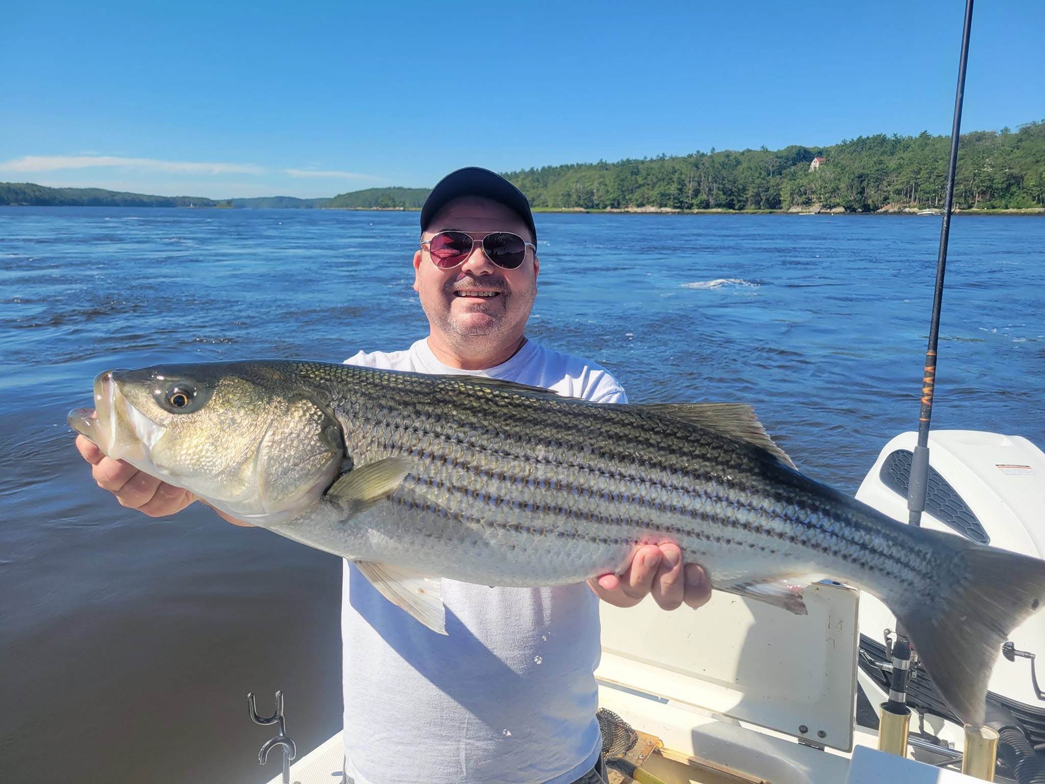Kennebec River Striper Charter