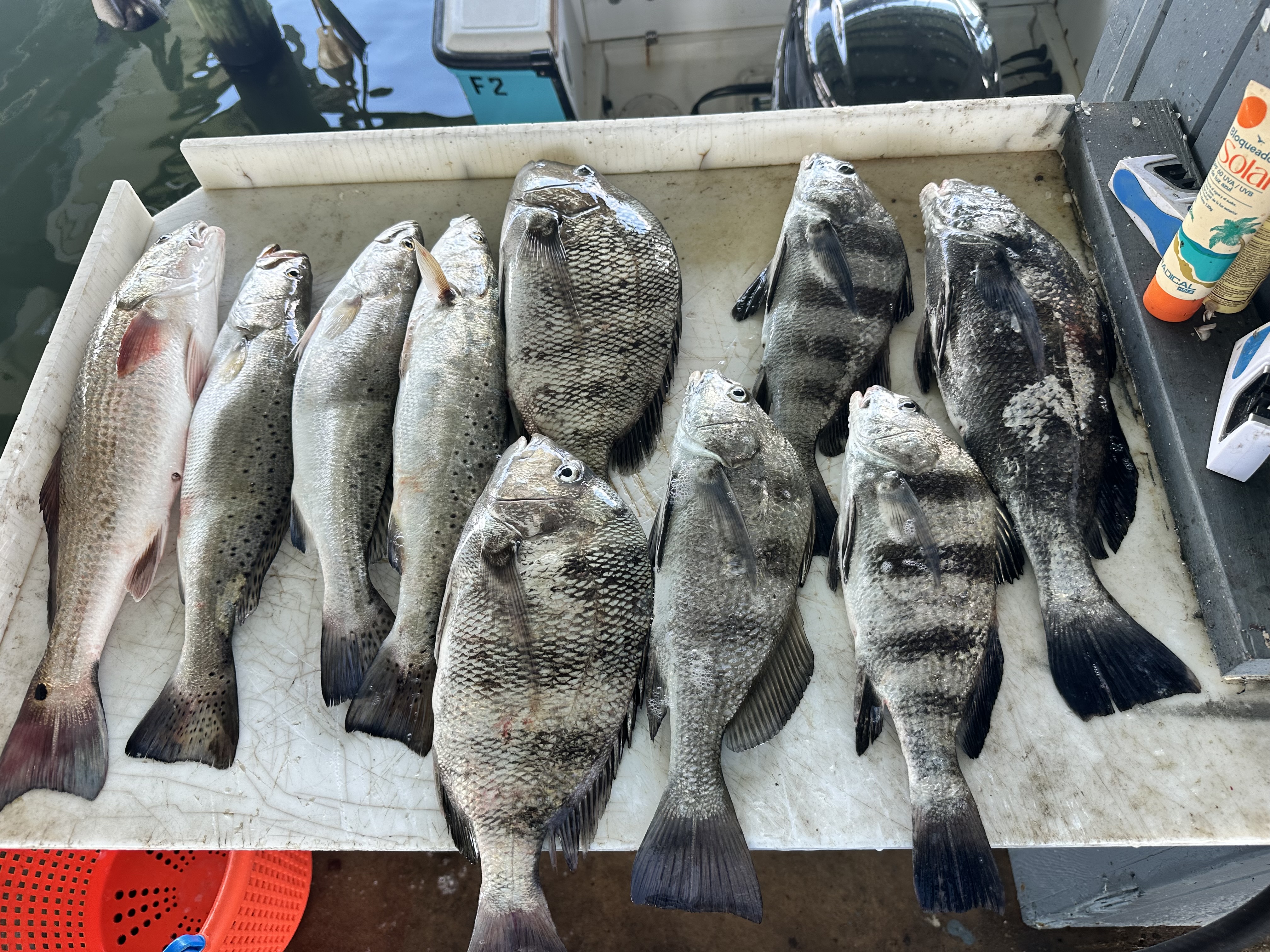 Fishing in Destin